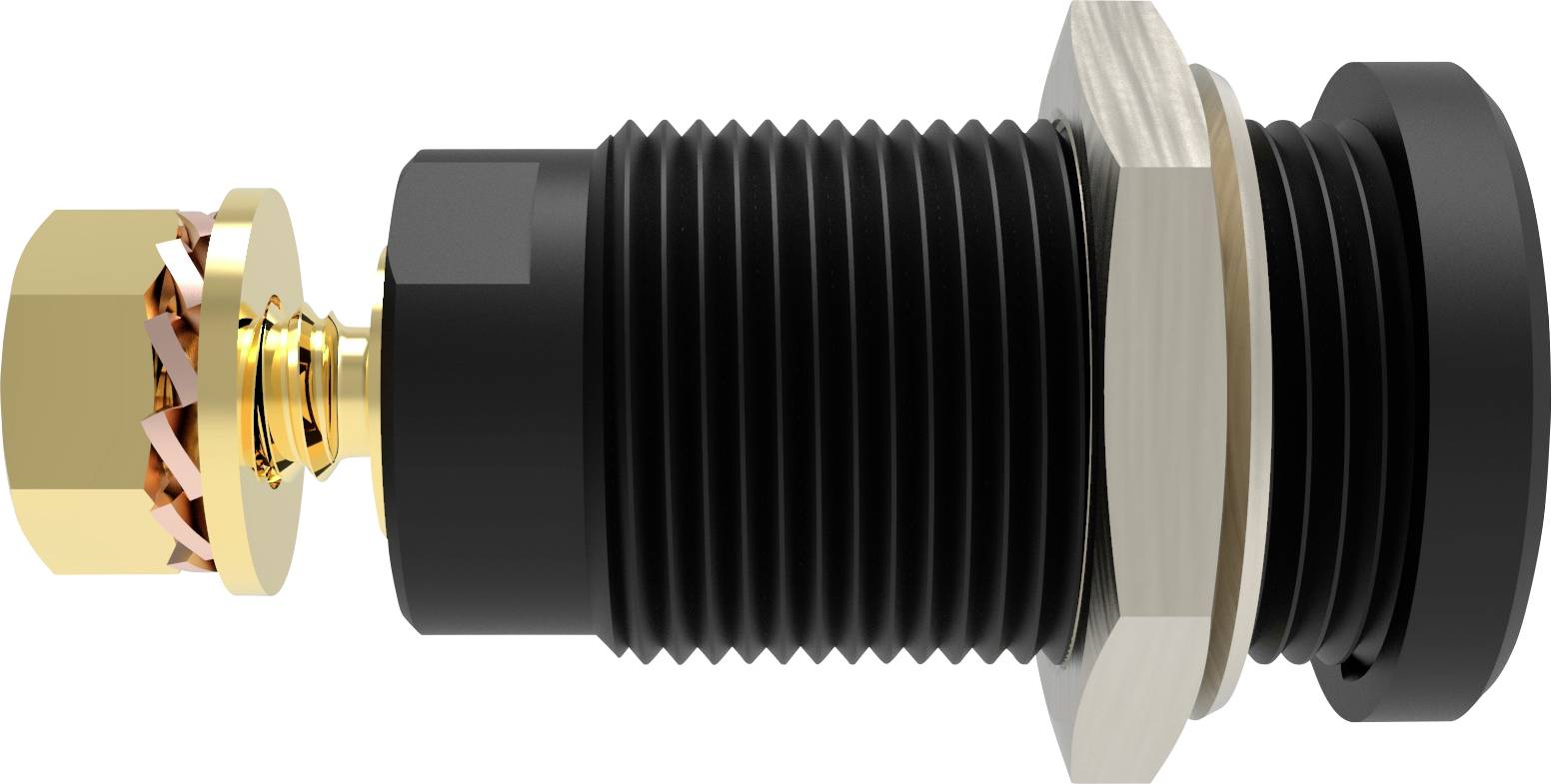 Schützinger DI SEB 9424 Au / SW Sicherheits-Einbaubuchse gerade Schwarz 1St.