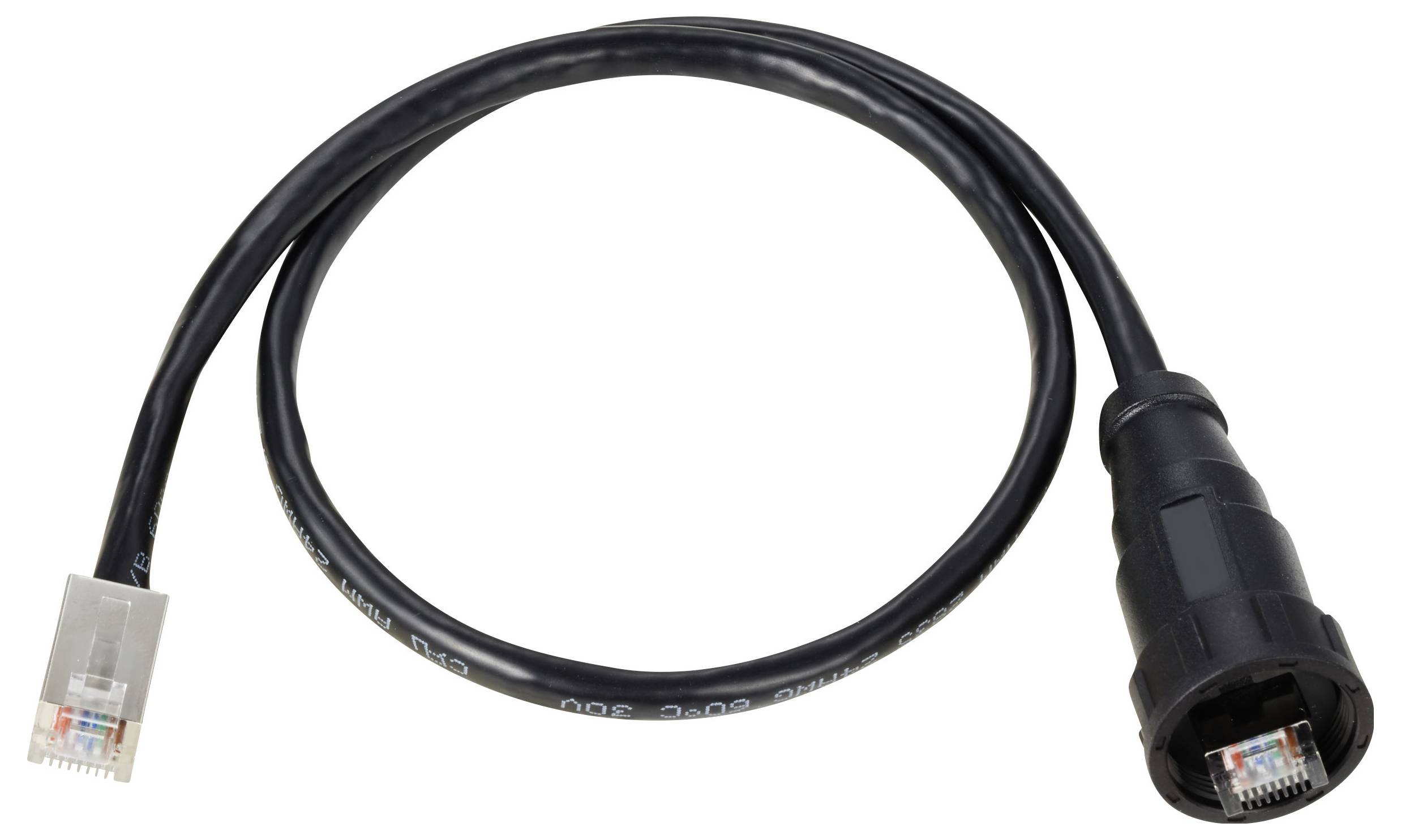 Ein schwarzes Netzwerkkabel mit RJ-45-Steckern an beiden Enden. Es ist zu einer kleinen Schleife geformt.