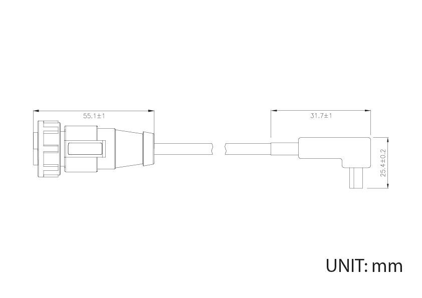 Technische Zeichnung eines Steckers mit Maßen: Länge 55,1 mm, Breite 31,7 mm und Höhe 25,4 mm. Maßeinheit: mm.