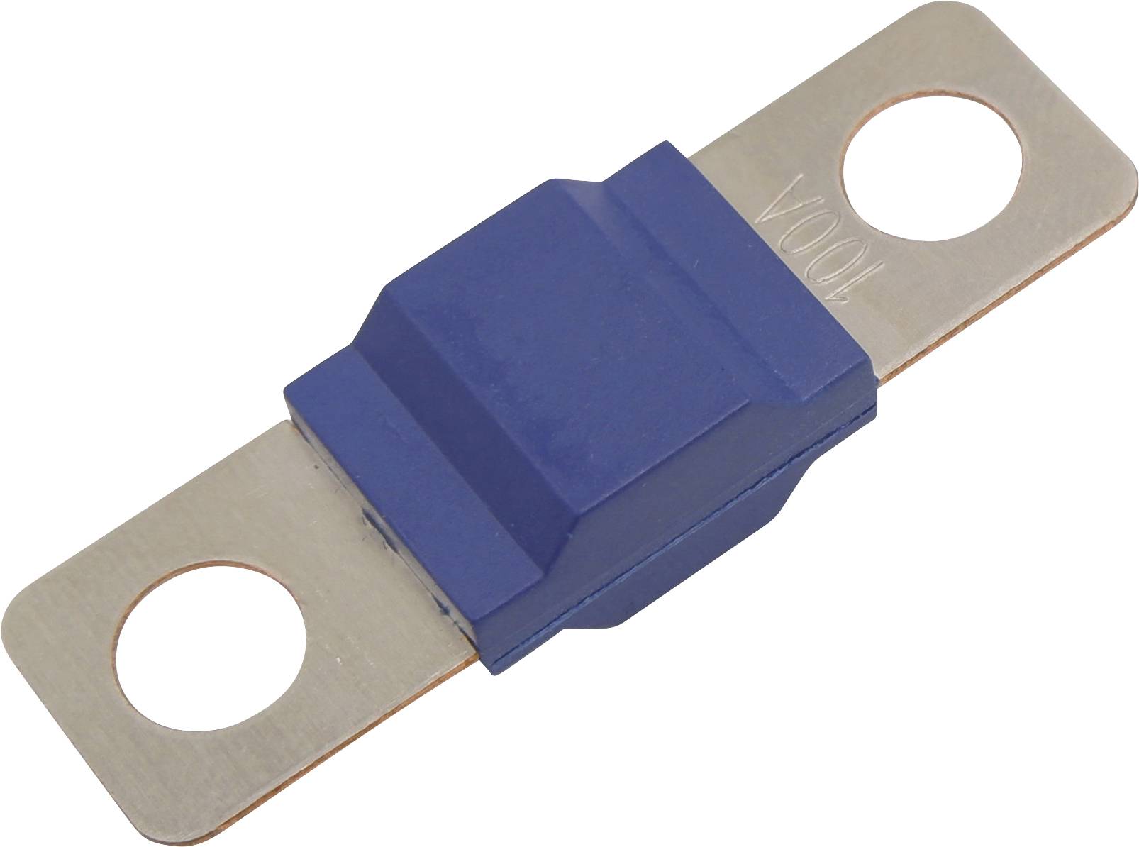 Blauer Flachsicherungshalter mit zwei runden Löchern an jedem Ende für die Montage.