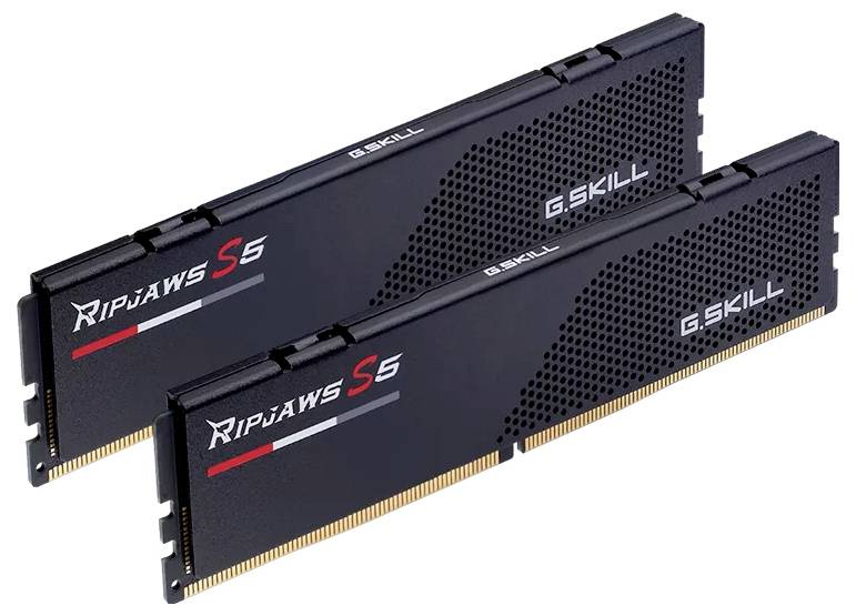 G.Skill F5-6000J2836G16GX2-RS5K PC-Arbeitsspeicher Kit DDR5 32GB 2 x 16GB Non-ECC CL28 F5-6000J2836G16GX2-RS5K