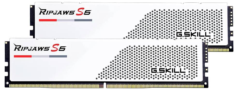 G.Skill F5-6000J2836G16GX2-RS5W PC-Arbeitsspeicher Kit DDR5 32GB 2 x 16GB Non-ECC CL28 F5-6000J2836G16GX2-RS5W