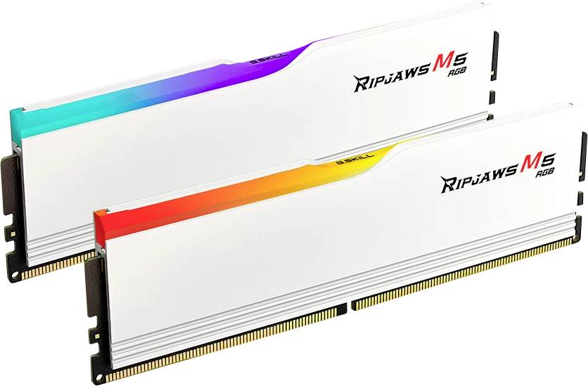 G.Skill F5-6000J2836G16GX2-RM5RW PC-Arbeitsspeicher Kit DDR5 32GB 2 x 16GB Non-ECC CL28 F5-6000J2836G16GX2-RM5RW