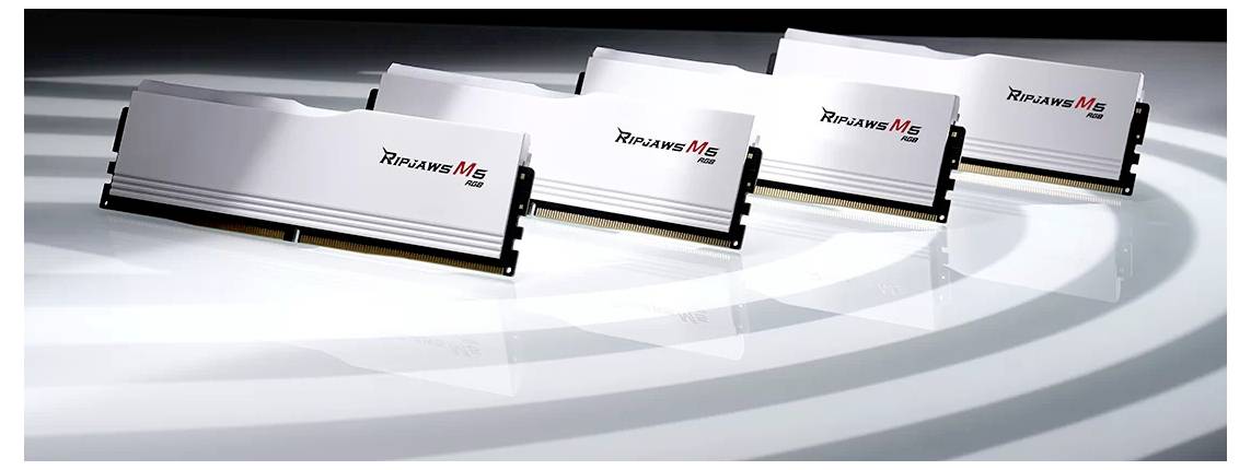 G.Skill F5-6000J2836G16GX2-RM5RW PC-Arbeitsspeicher Kit DDR5 32GB 2 x 16GB Non-ECC CL28 F5-6000J2836G16GX2-RM5RW