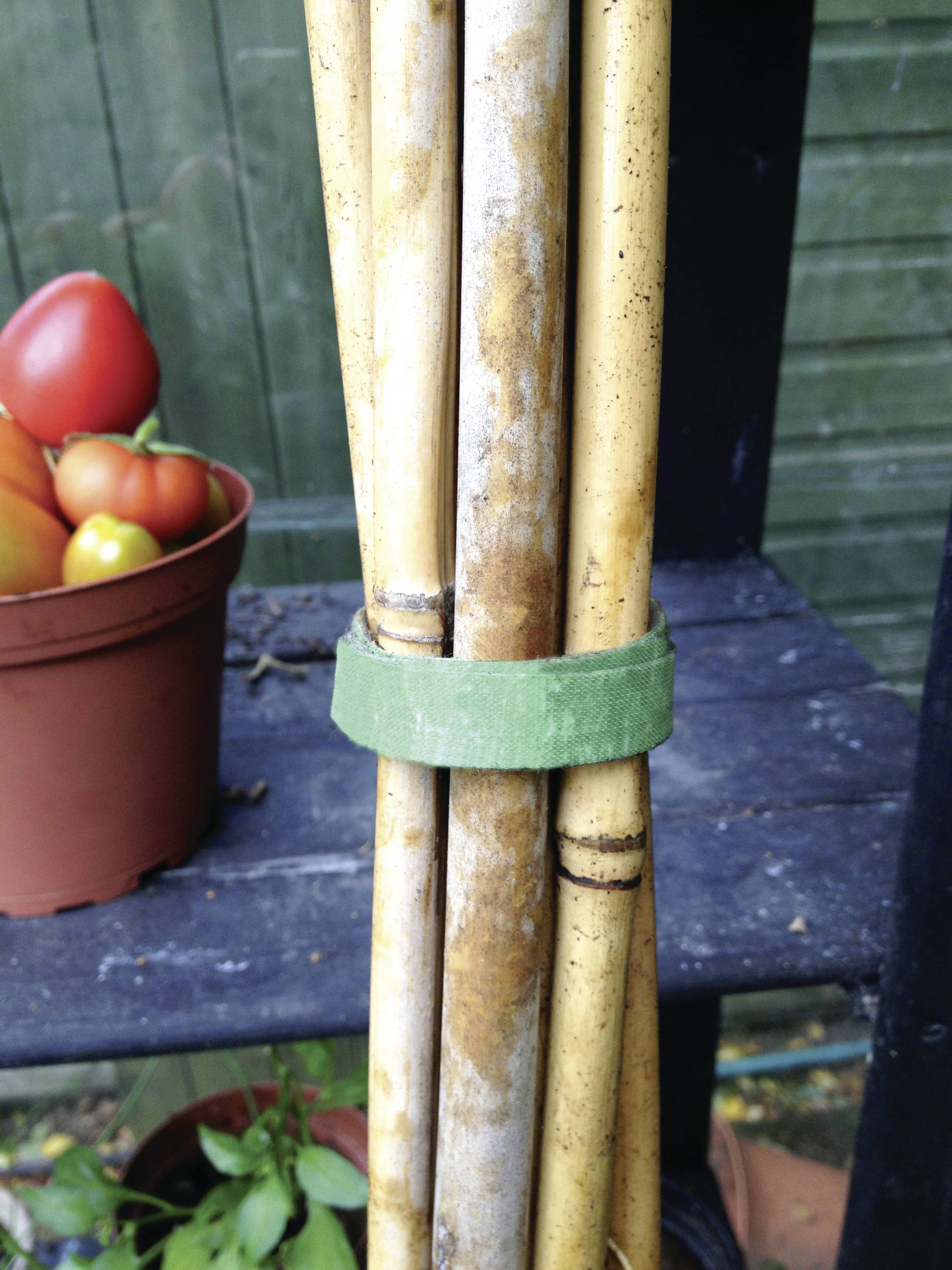 VELCRO® Universal Klettband zum Bündeln, für Pflanzen und Garten Haft- und Flauschteil (L x B) 20cm x 1.2cm Grün 25St.