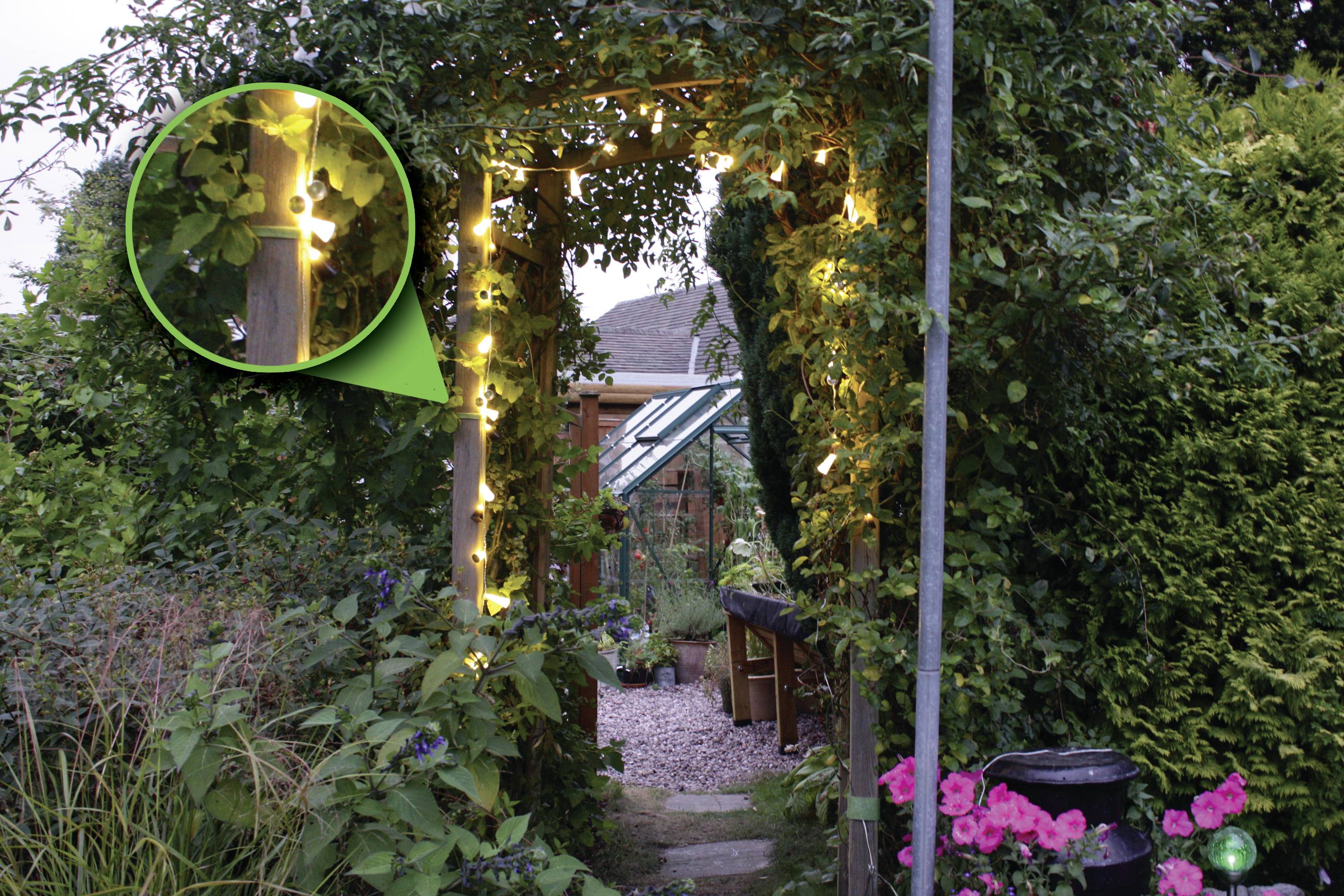 VELCRO® Universal Klettband zum Bündeln, für Pflanzen und Garten Haft- und Flauschteil (L x B) 20cm x 1.2cm Grün 25St.