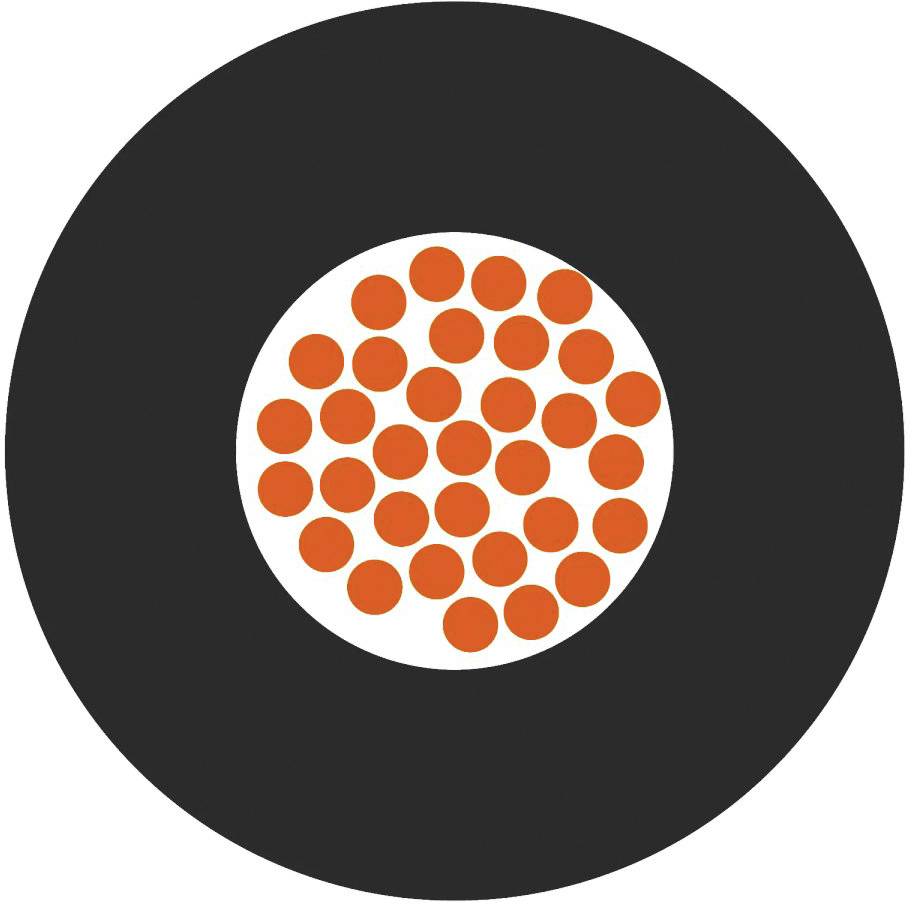 Schwarzer Kreis mit einem weißen inneren Kreis, darin viele orangefarbene Punkte angeordnet.