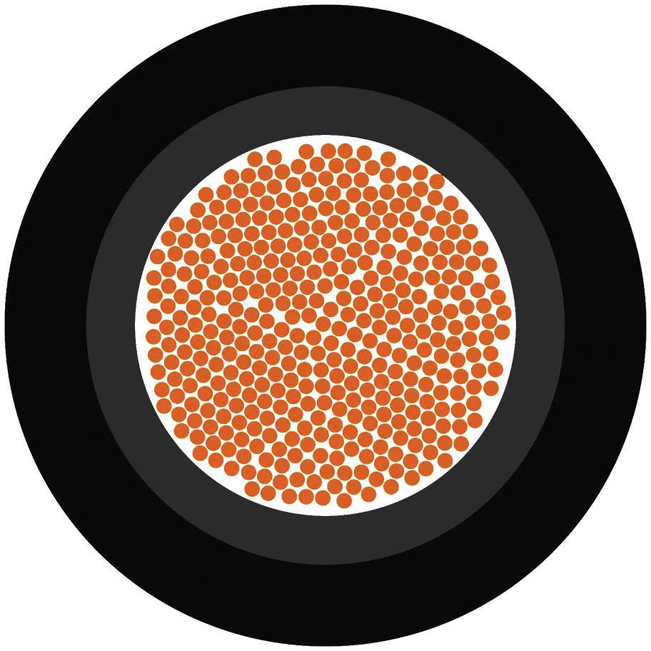 Abbildung zeigt viele kleine orange Punkte dicht angeordnet in einem grauen Kreis, umgeben von einem schwarzen Rand auf weißem Hintergrund.