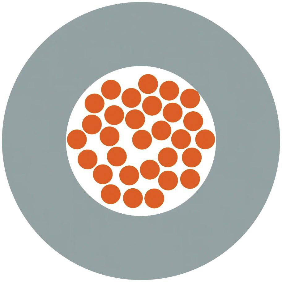 Graue Scheibe mit weißem Kreis in der Mitte, darin mehrere gleichmäßig verteilte orangefarbene Punkte.