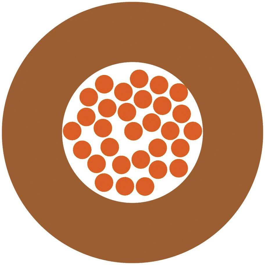 Eine braune Scheibe mit mehreren kleinen, gleichmäßig verteilten orangefarbenen Punkten im Inneren.