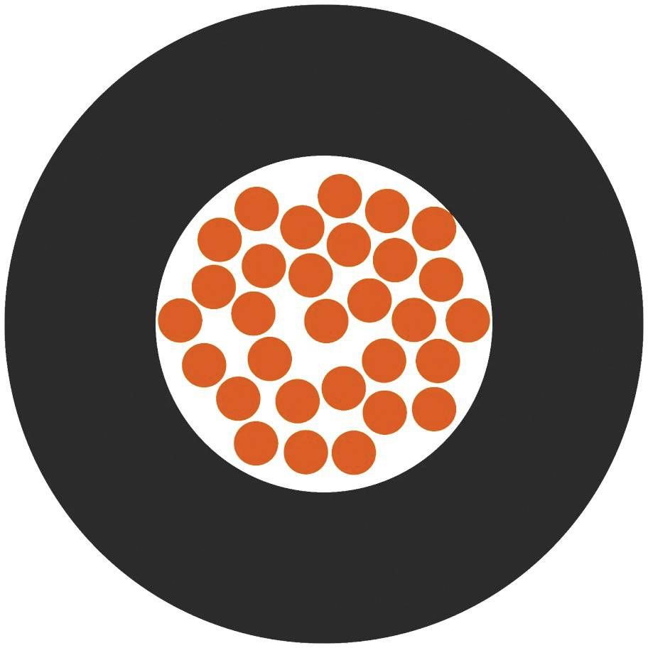 Schwarzer Kreis mit einem weißen Zentrum, das orange Punkte enthält. Die Punkte sind gleichmäßig im weißen Bereich verteilt.