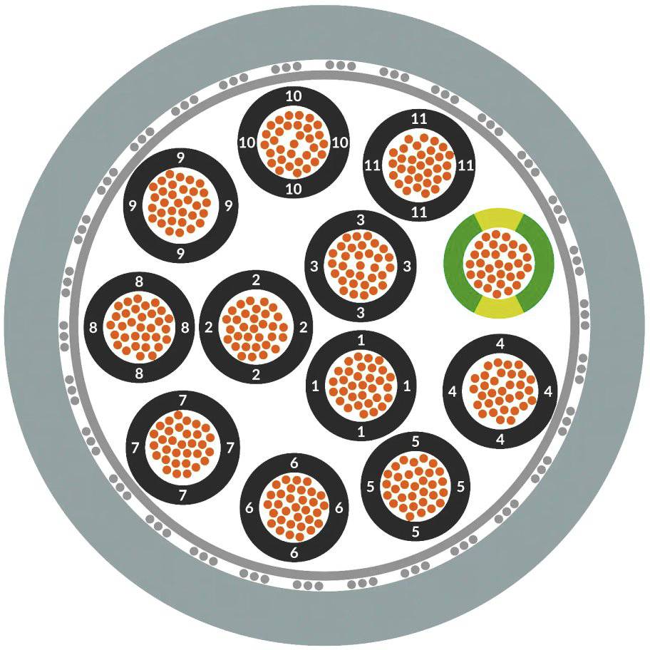 Diagramm eines Kabelquerschnitts mit zwölf Adern, nummeriert von 1 bis 12. Eine Ader ist grün-gelb umrandet, andere sind schwarz umrandet.