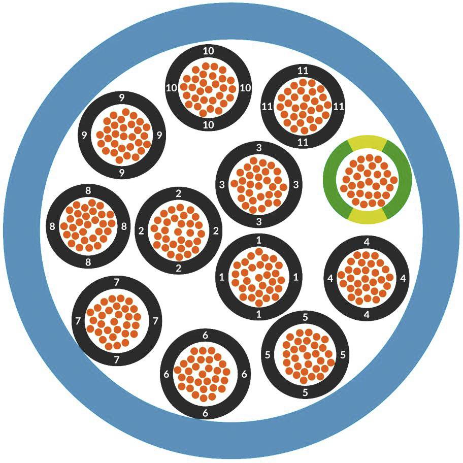 Ein Diagramm zeigt 12 kreisförmige Symbole mit Nummern von 1 bis 12 darin. Eines ist grün umrandet. Sie liegen innerhalb eines großen blauen Rings.