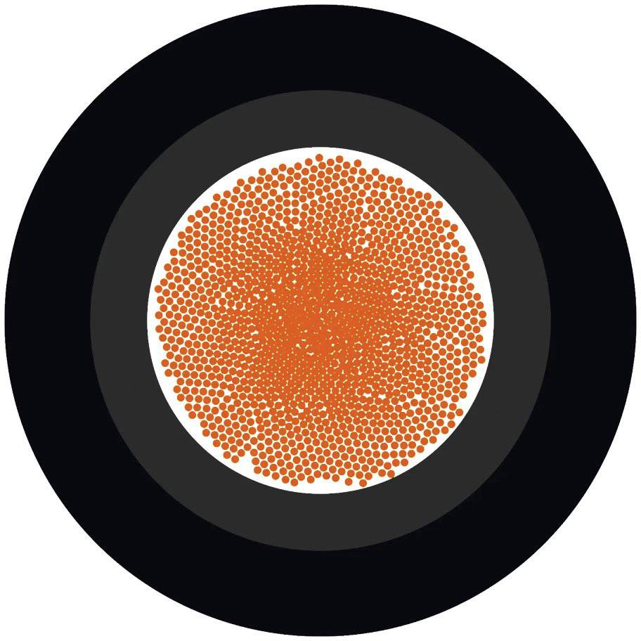 Eine schwarze Scheibe mit einem weißen Kreis im Inneren, gefüllt mit zahlreichen kleinen, orangefarbenen Punkten.