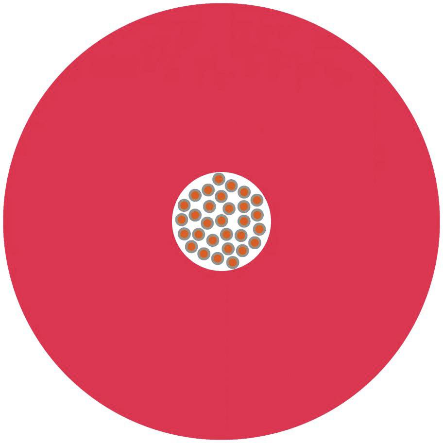 LAPP 2510005/100 Einzelader 1 x 1.5mm² 100m