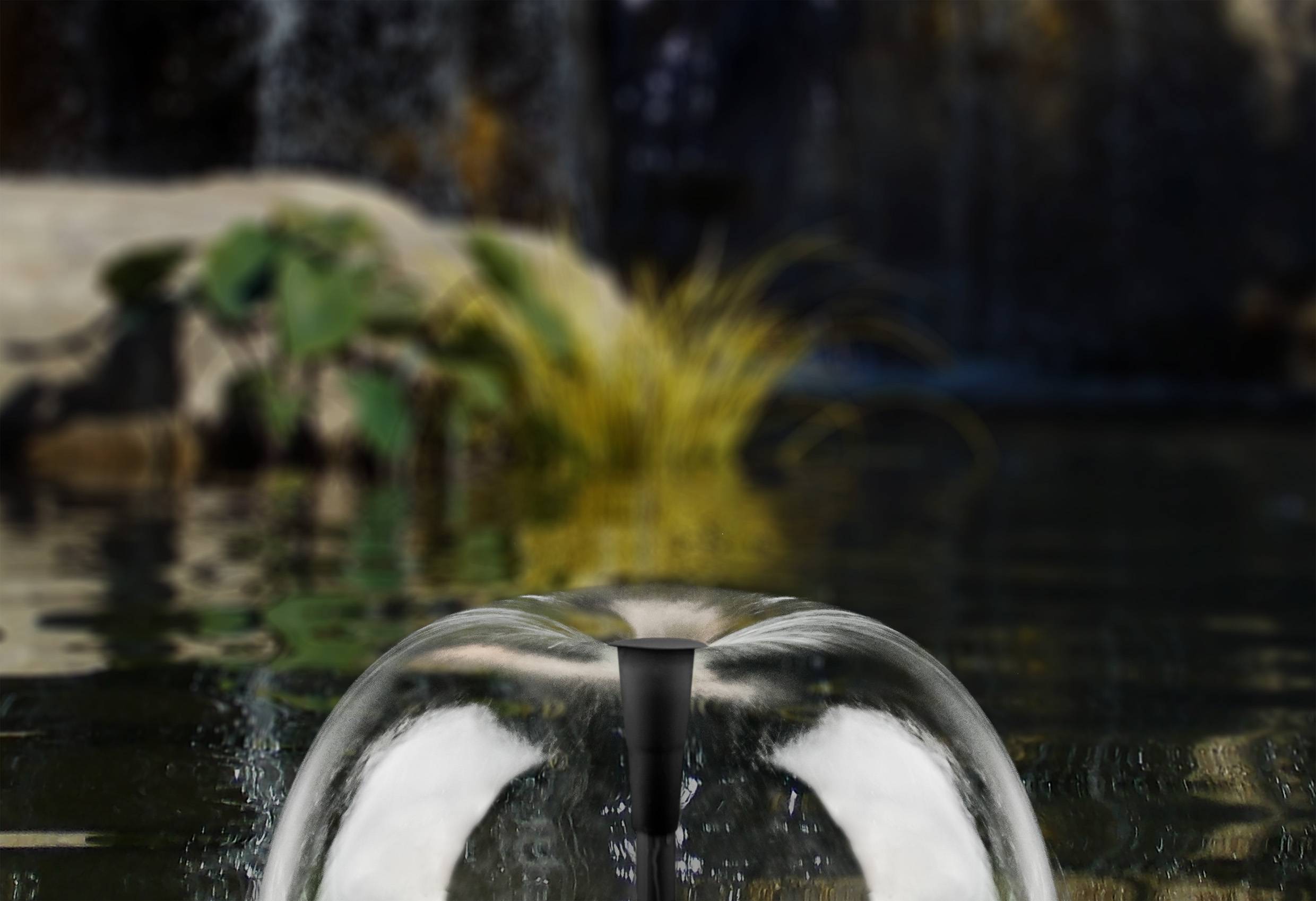 Eine ruhige Wasseroberfläche mit einer klaren umgekehrten Schalenstruktur in der Mitte, umgeben von unscharfen Pflanzen im Hintergrund.
