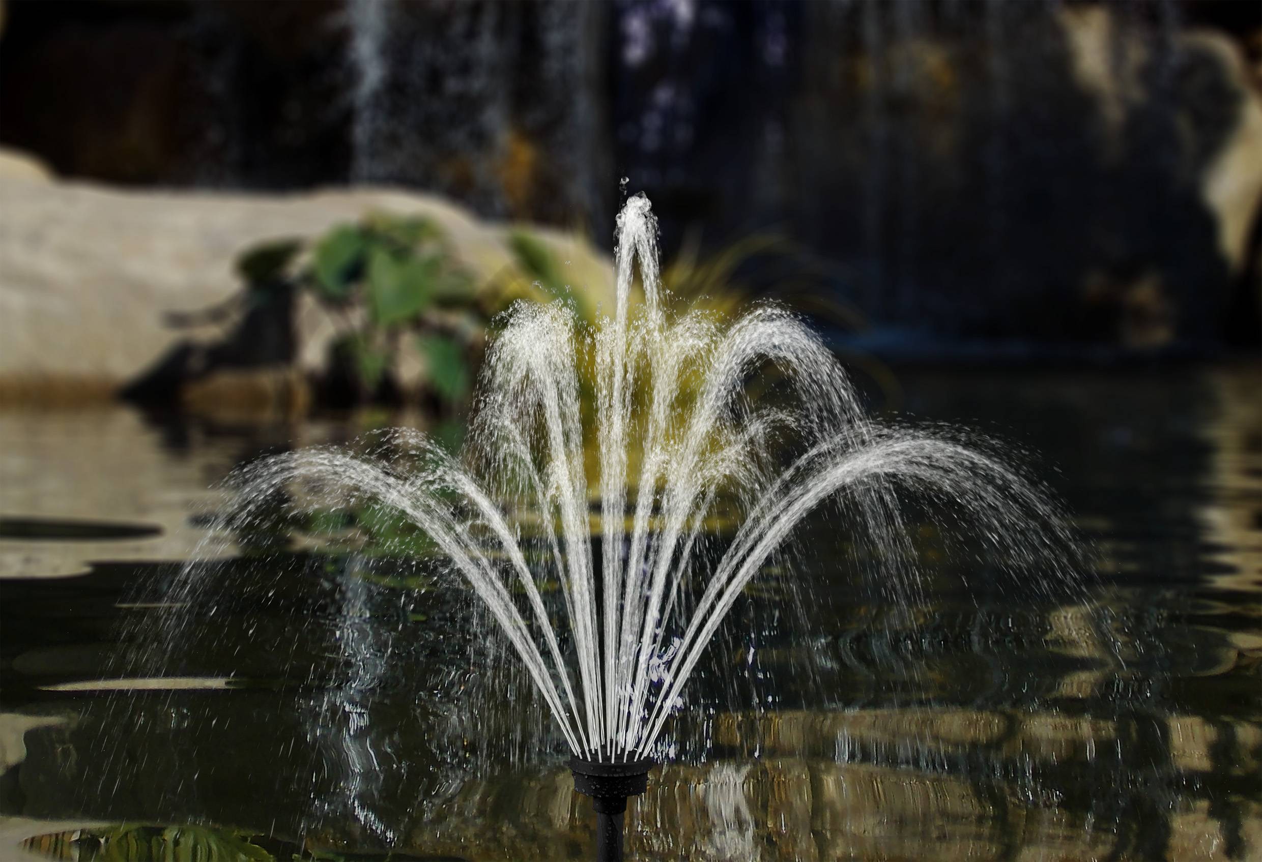 Ein Springbrunnen sprüht Wasser in einem Bogenmuster in einem Teich. Im Hintergrund sind Pflanzen und Felsen sichtbar.
