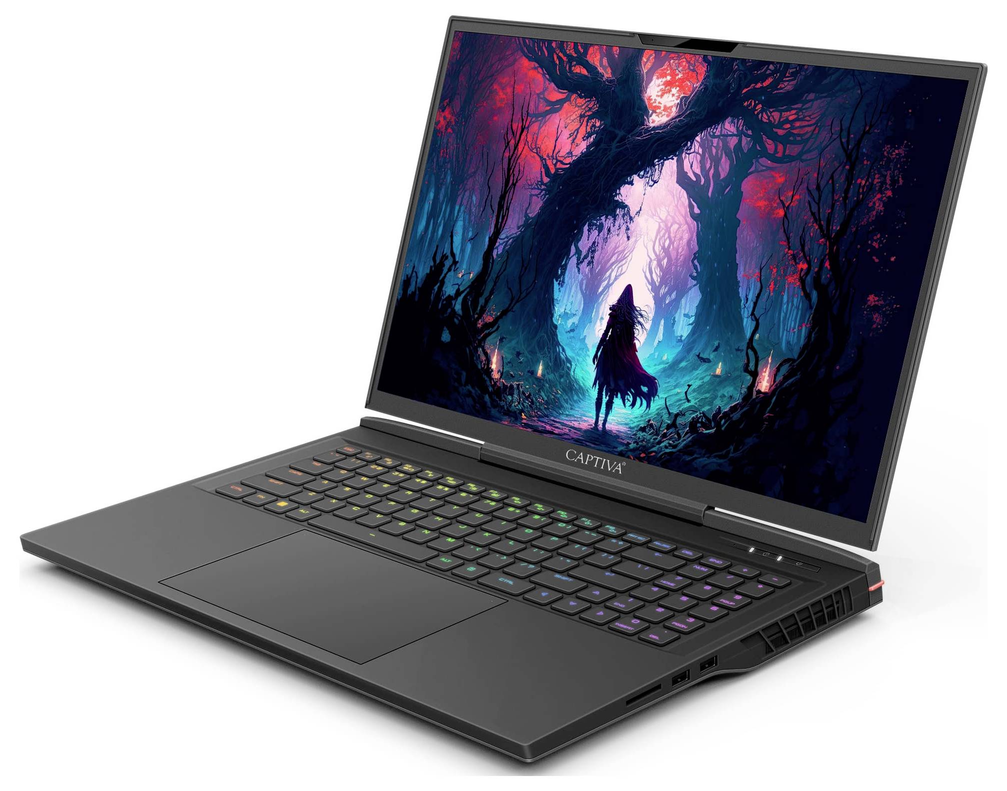 Captiva Gaming Notebook () WQXGA Intel® Core™ i9 64GB RAM 4TB SSD Schwarz 81497