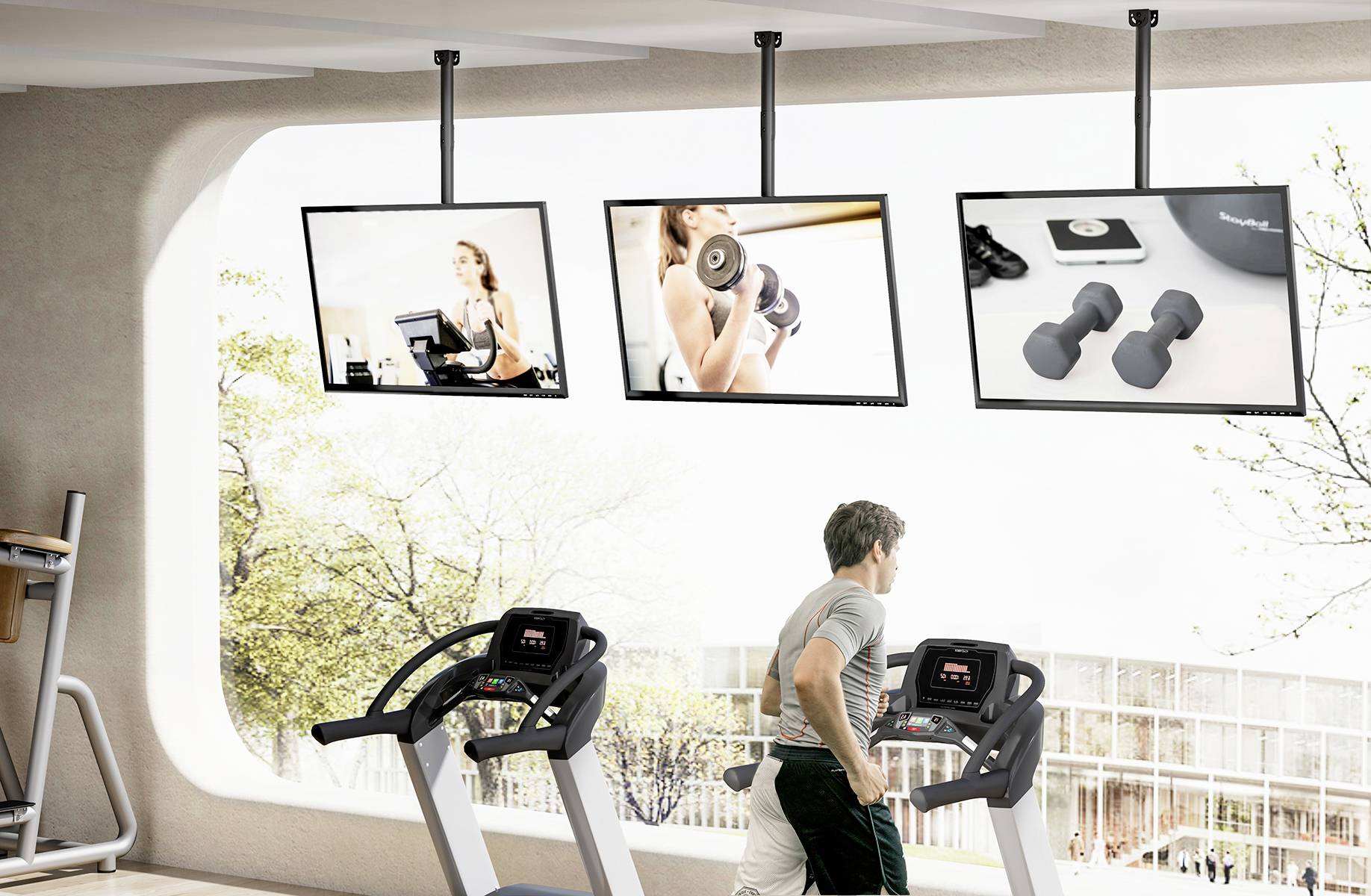 My Wall Bewegliche TV Deckenhalterung TV-Deckenhalterung