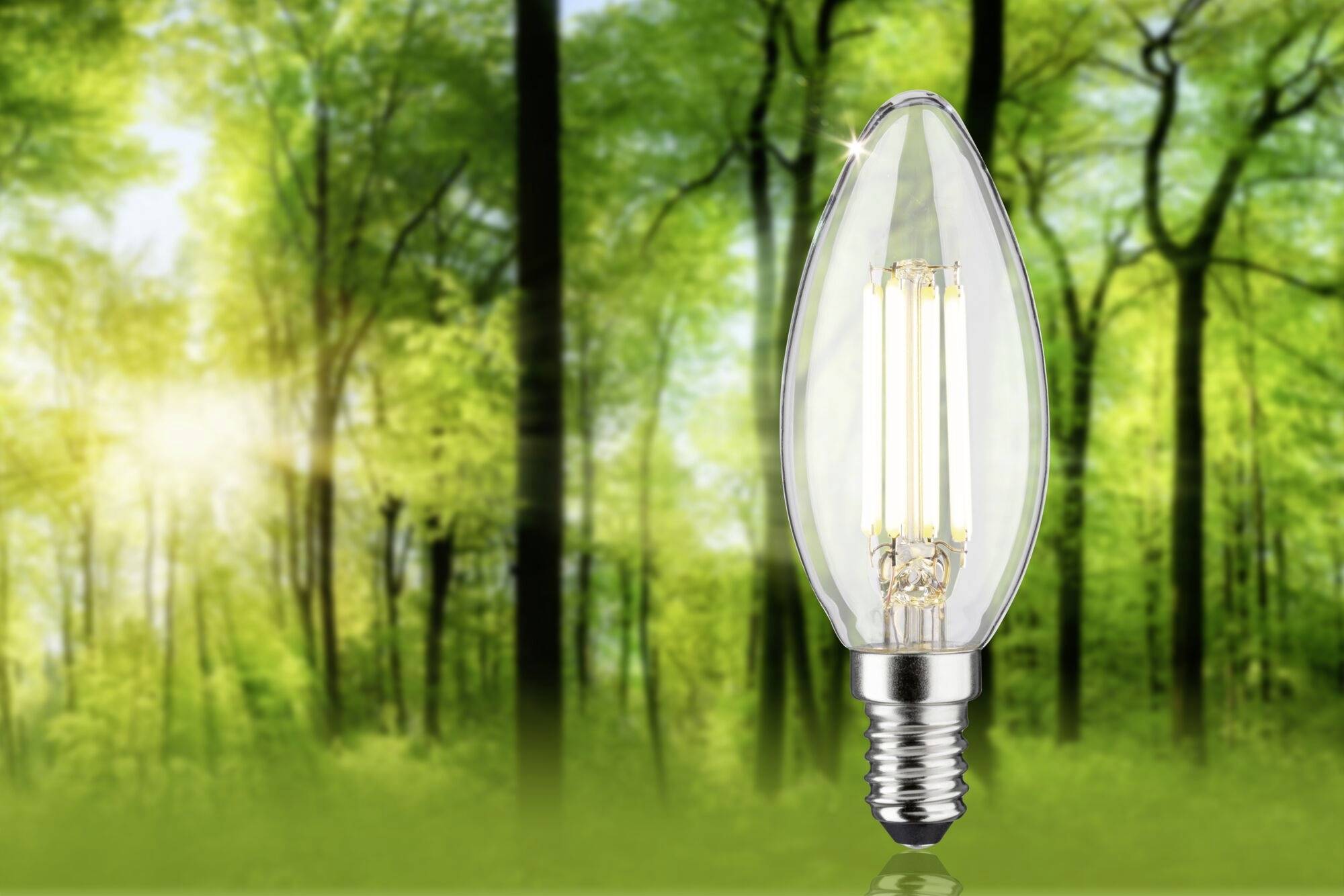 Paulmann 29201 LED EEK A (A - G) E14 Kerzenform 4W Warmweiß (Ø x H) 35mm x 101mm 1St.