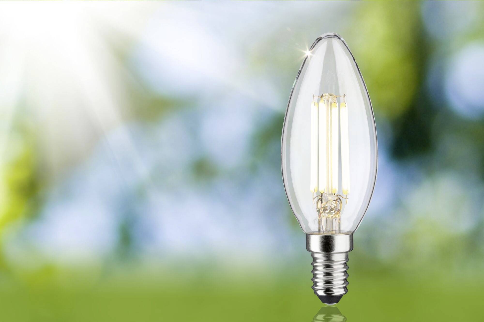 Paulmann 29201 LED EEK A (A - G) E14 Kerzenform 4W Warmweiß (Ø x H) 35mm x 101mm 1St.