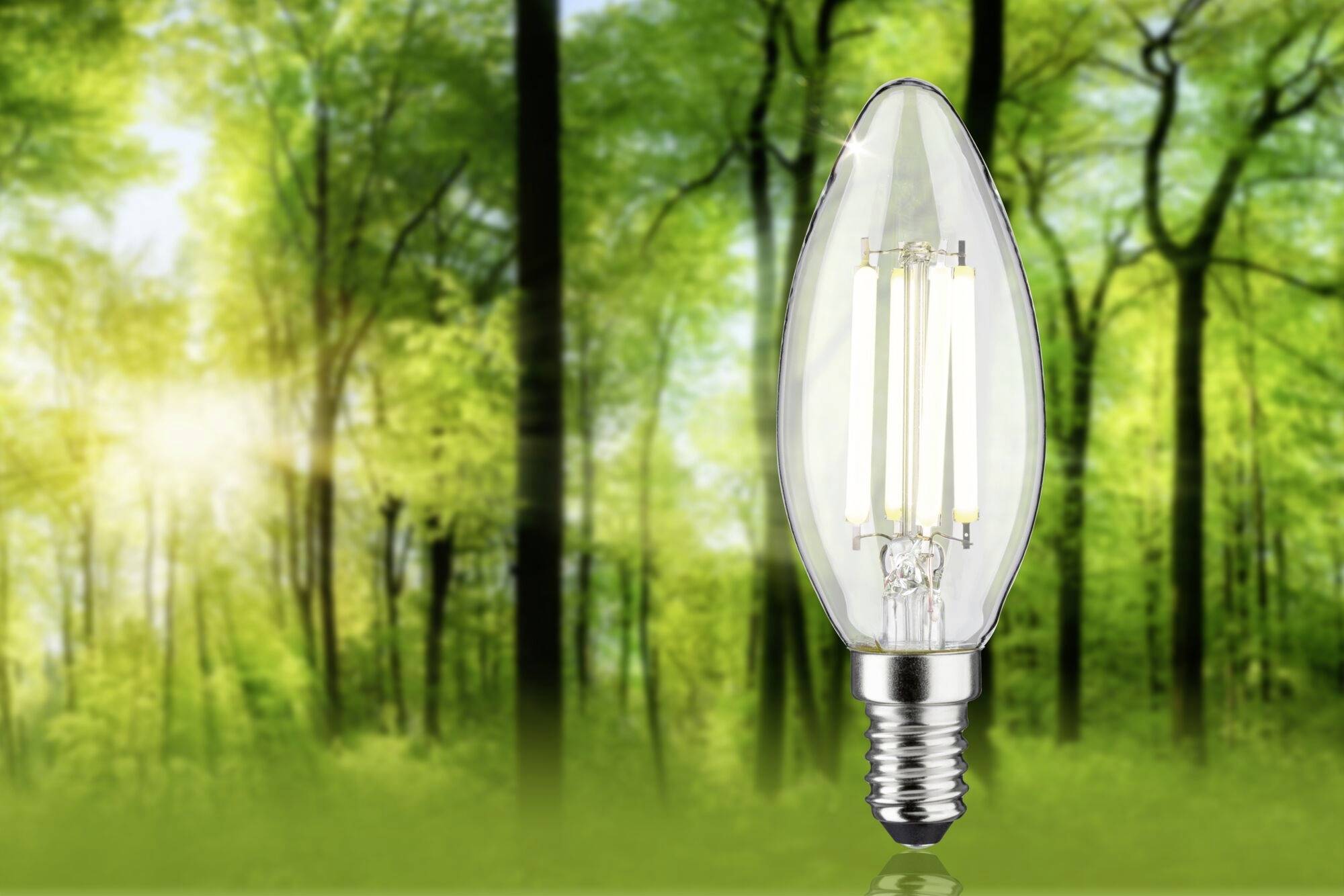 Paulmann 29203 LED EEK A (A - G) E14 Kerzenform 4W Neutralweiß (Ø x H) 35mm x 101mm 1St.