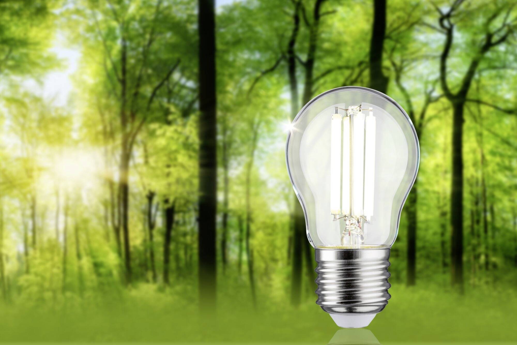 Paulmann 29213 LED EEK A (A - G) E27 Tropfenform 2.5W Neutralweiß (Ø x H) 45mm x 80mm 1St.