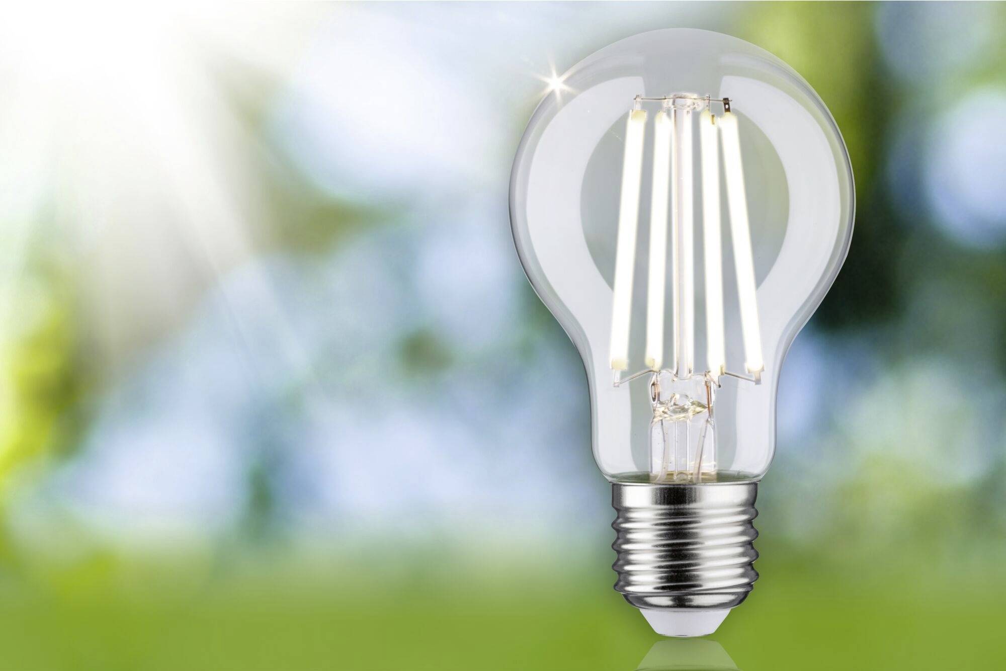 Eine Glühbirne vor einem verschwommenen, natürlichen Hintergrund mit Sonnenlicht, symbolisiert Energie und Innovation.