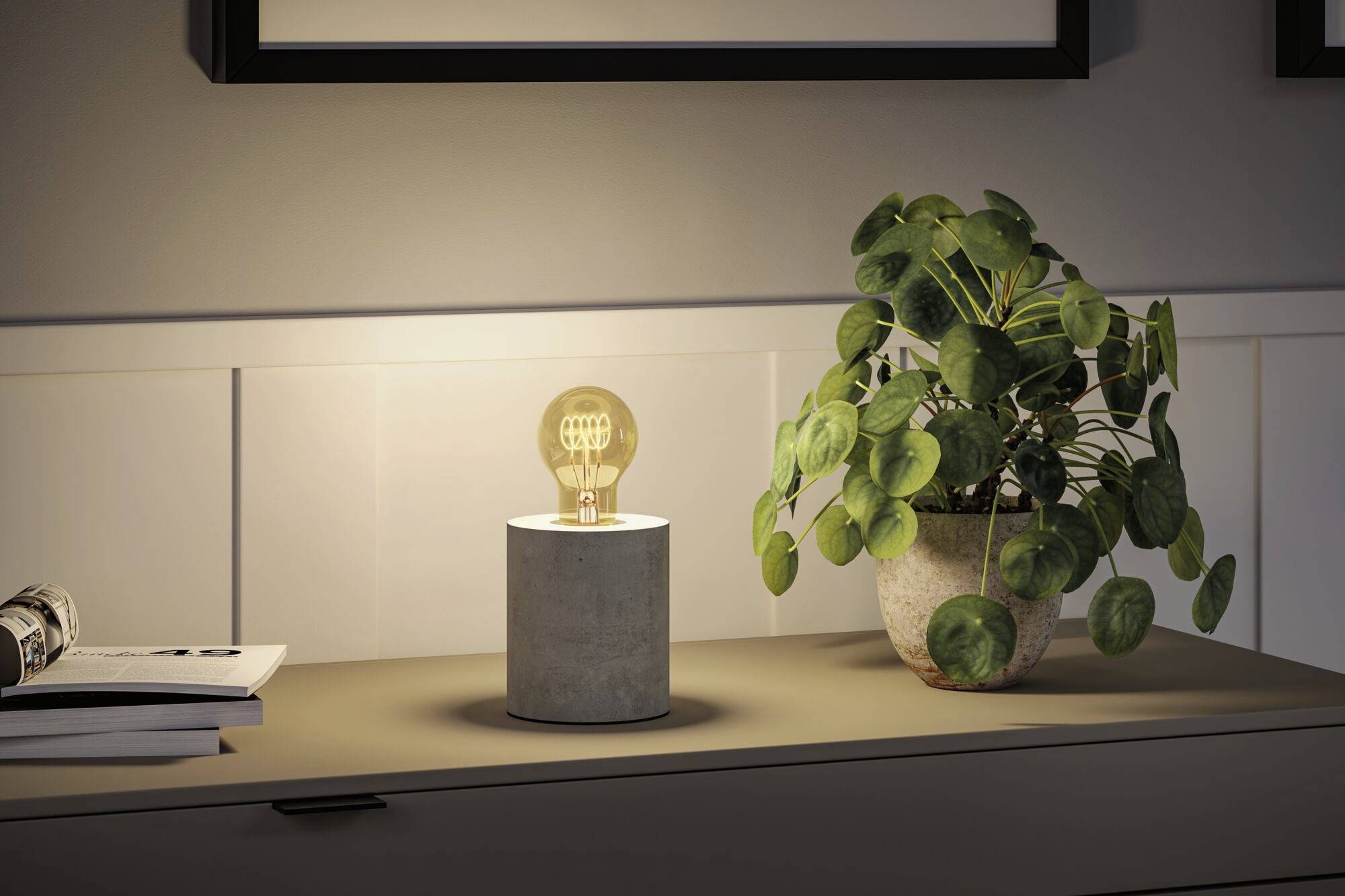 Eine Tischplatte mit einer modernen Glühlampe, die auf einem zylindrischen Sockel steht, neben einer Topfpflanze mit runden Blättern.