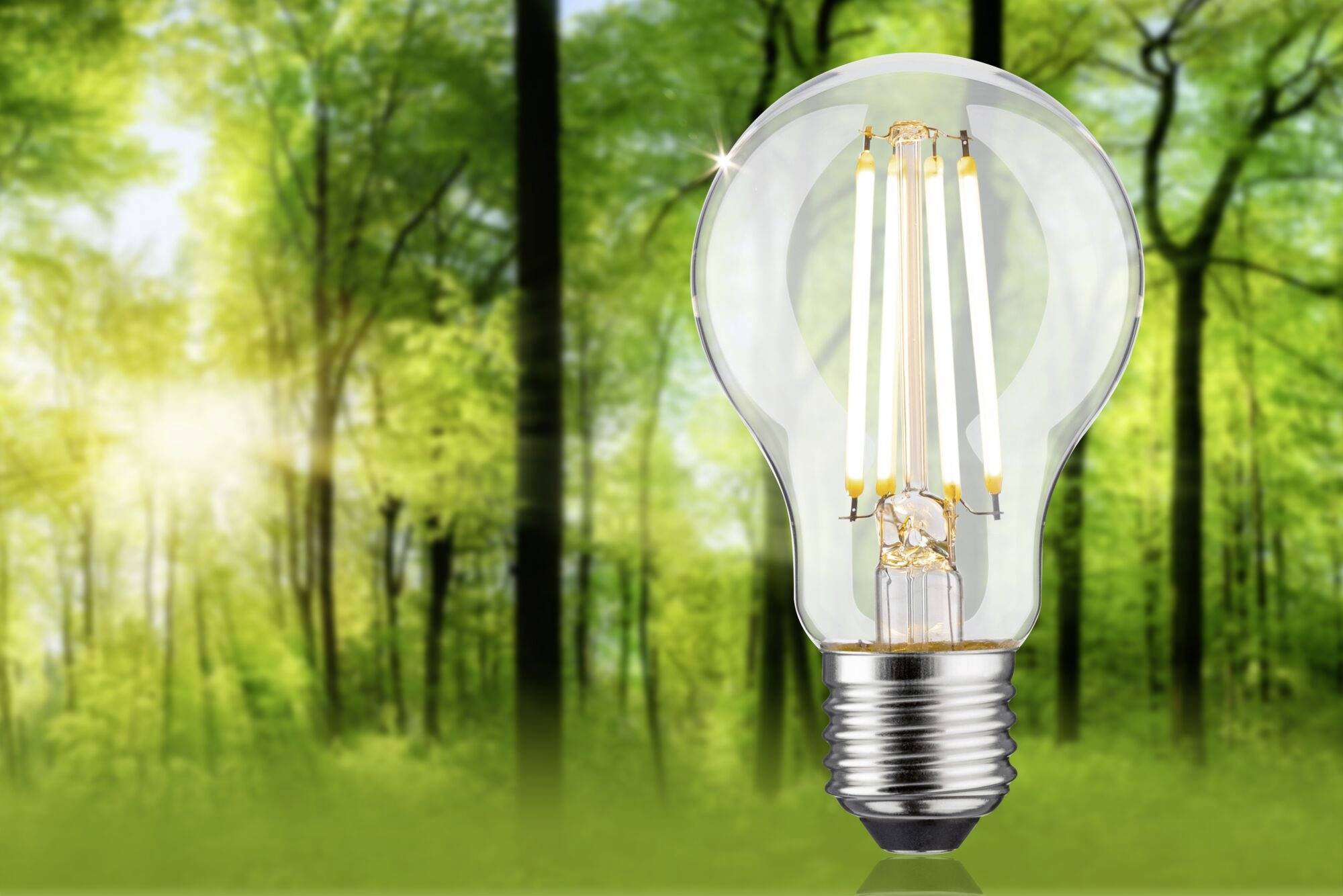 Paulmann 29252 LED EEK B (A - G) E27 Glühlampenform 5.7W Warmweiß (Ø x H) 60mm x 105mm 1St.