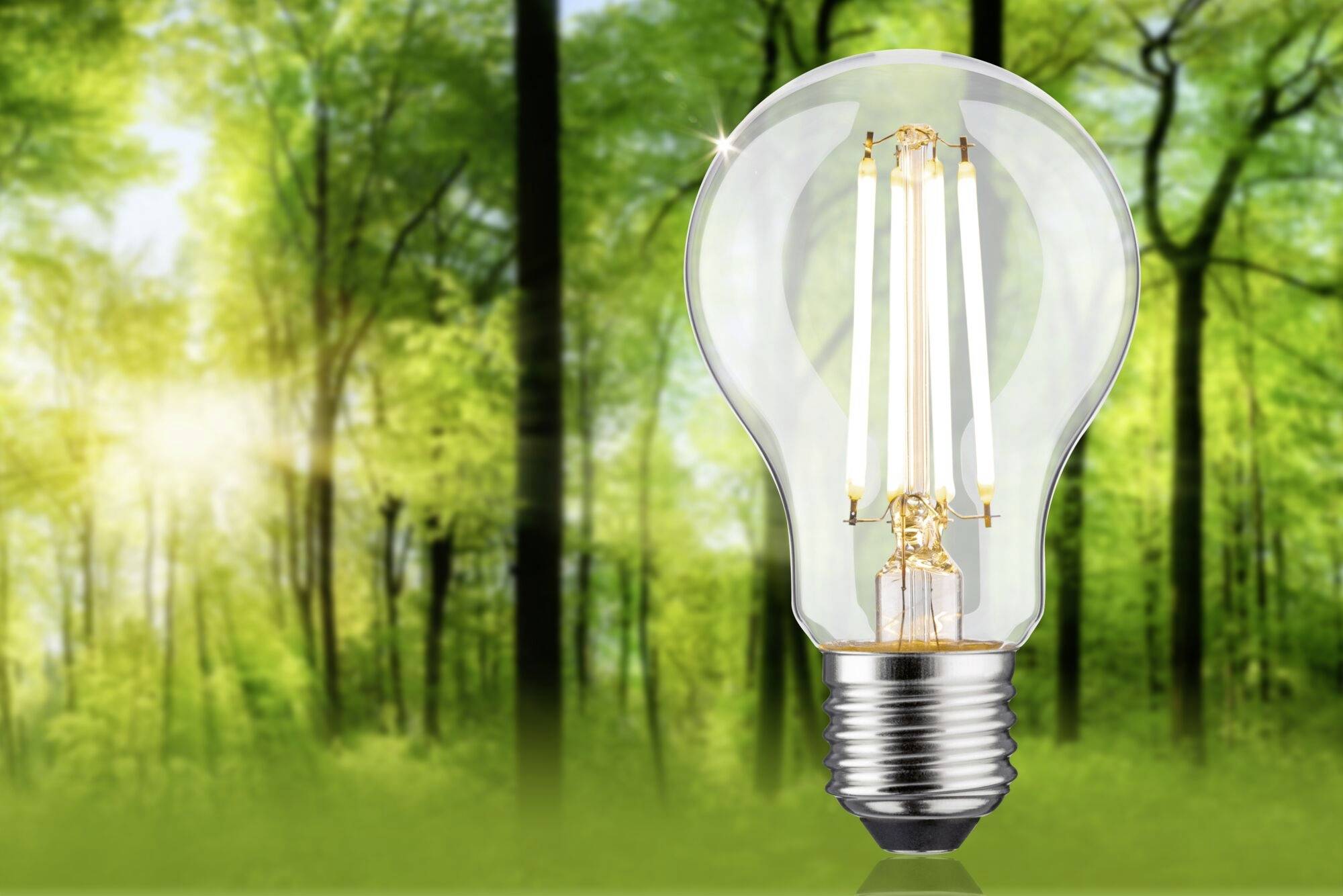 Paulmann 29253 LED EEK B (A - G) E27 Glühlampenform 8.2W Warmweiß (Ø x H) 60mm x 105mm 1St.