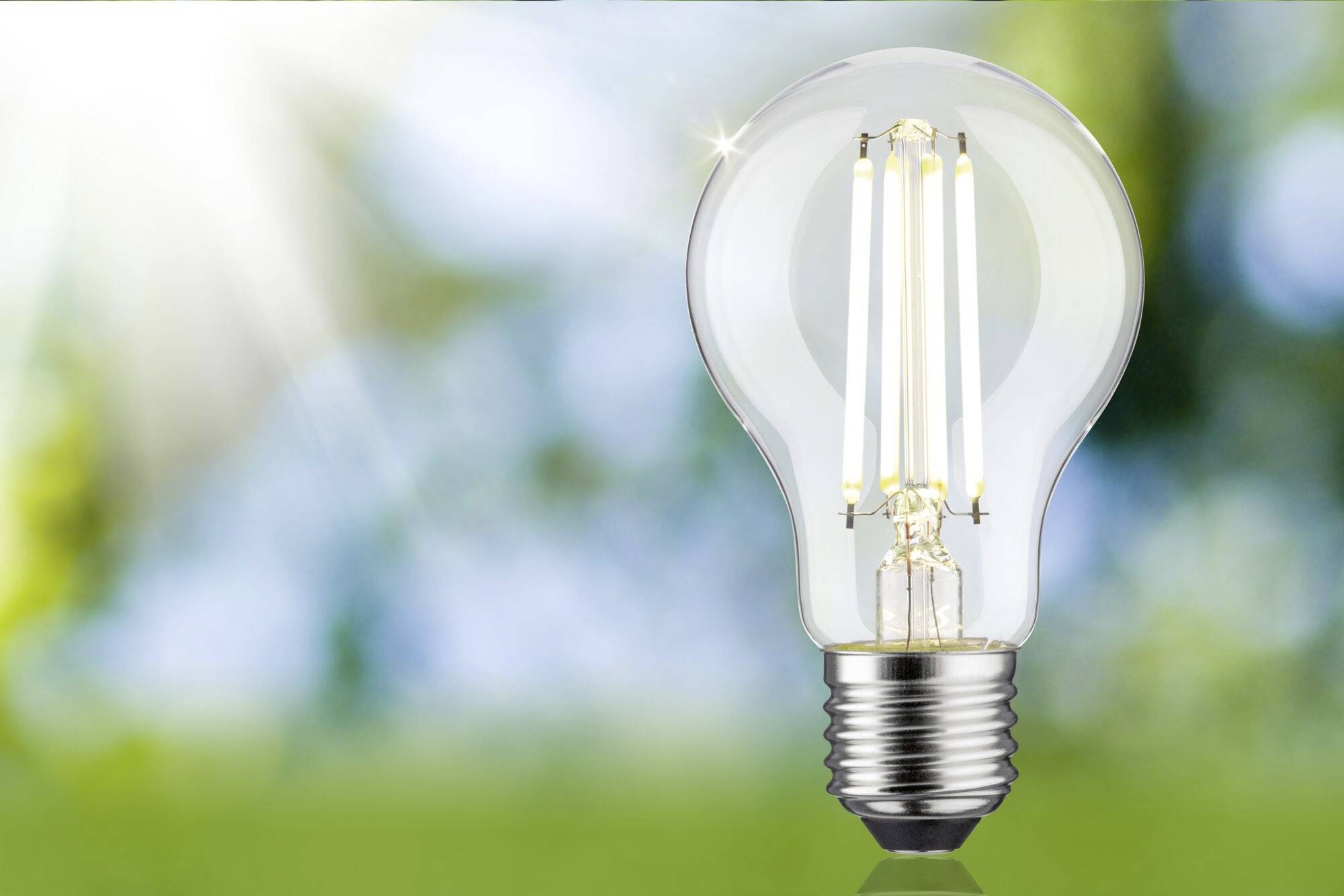 Eine leuchtende Glühbirne vor einem unscharfen, grünen und blauen Hintergrund mit Sonnenstrahlen. Symbolisiert Innovation oder Energie.