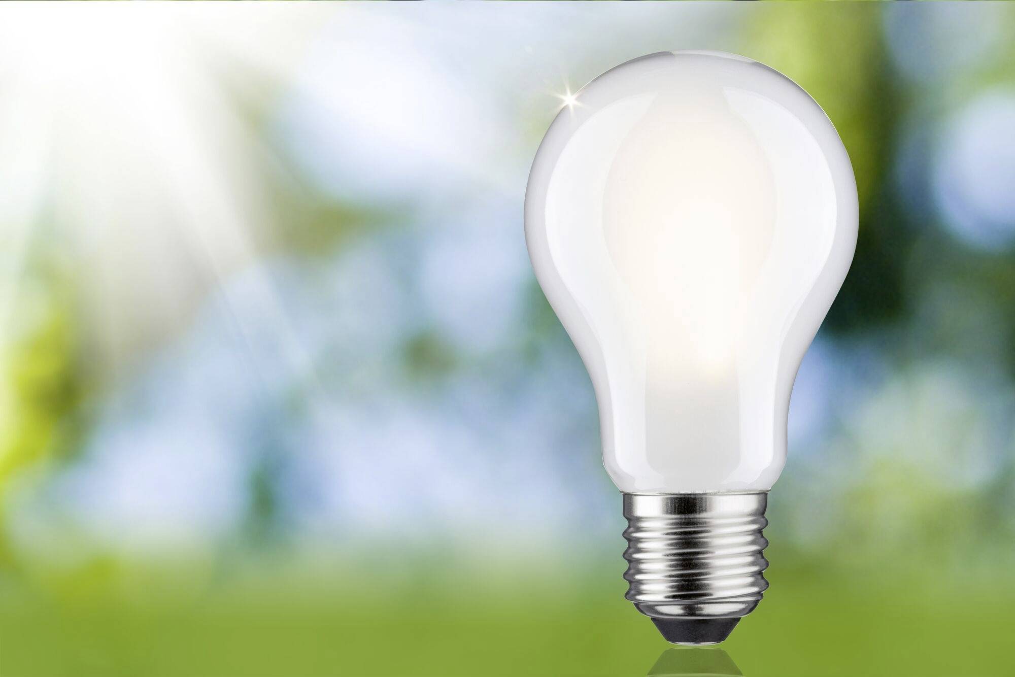 Eine Glühbirne leuchtet vor einem unscharfen, grünen Hintergrund im Freien. Symbolisiert Innovation oder Ideenfindung.