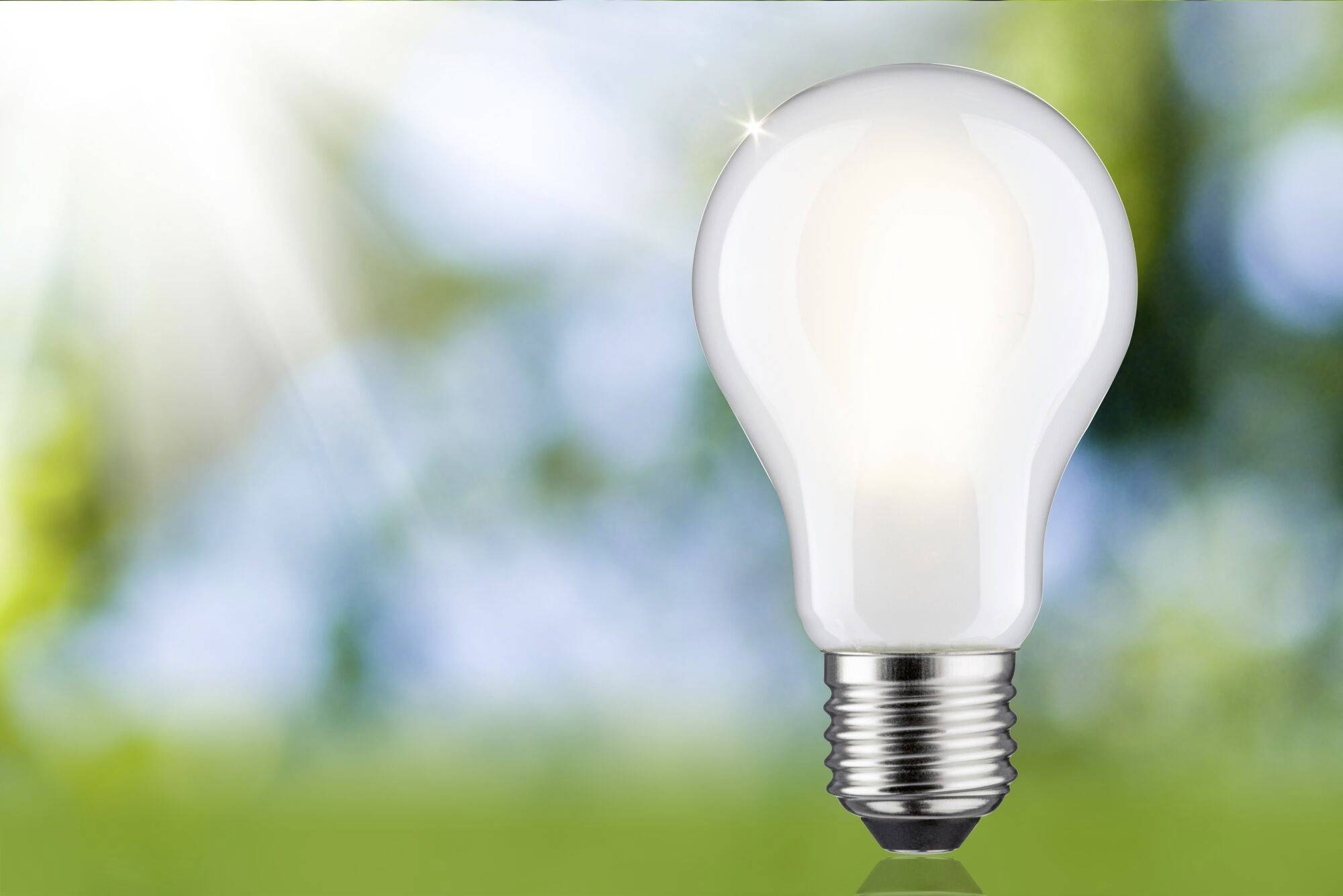 Eine Glühbirne leuchtet vor einem verschwommenen, sonnigen Hintergrund, der einen Eindruck von Kreativität und neuen Ideen vermittelt.