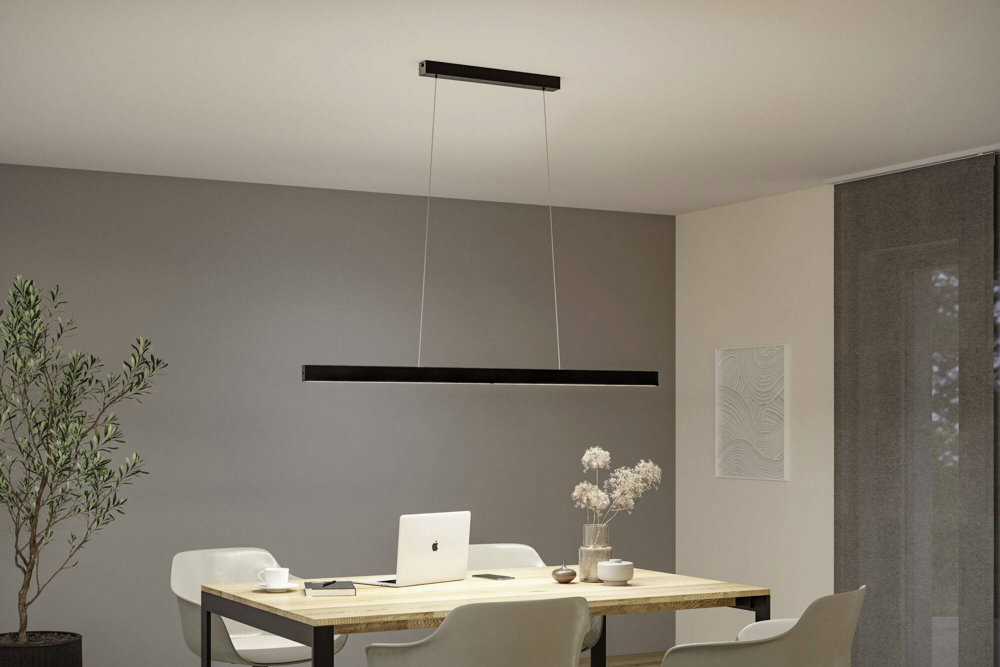 Paulmann Aptare 76989 LED-Pendelleuchte LED 33W Schwarz