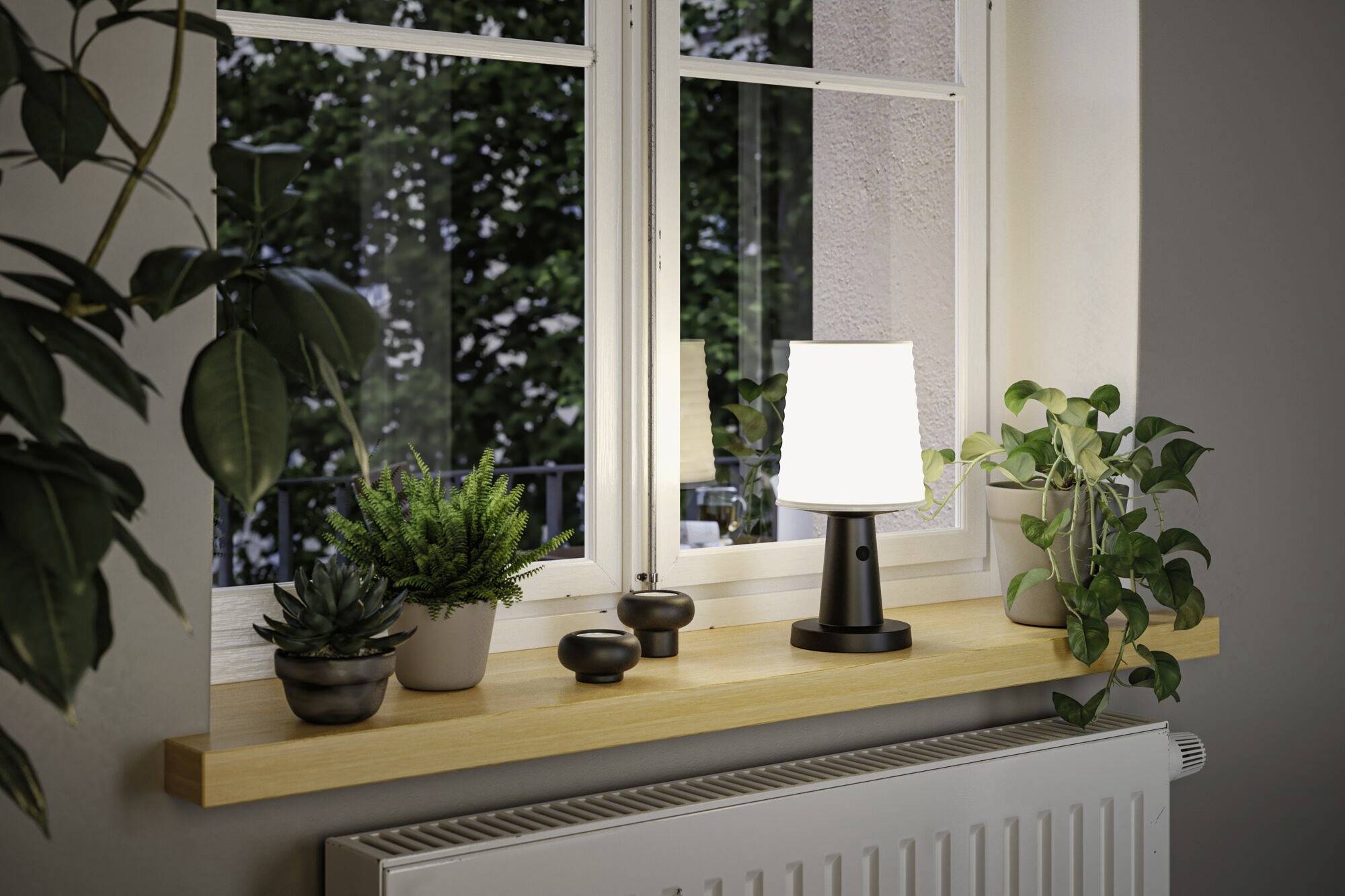 Fensterbank mit einer beleuchteten Lampe und mehreren Zimmerpflanzen, darunter Sukkulenten, vor einem Fenster mit Blick auf Bäume.