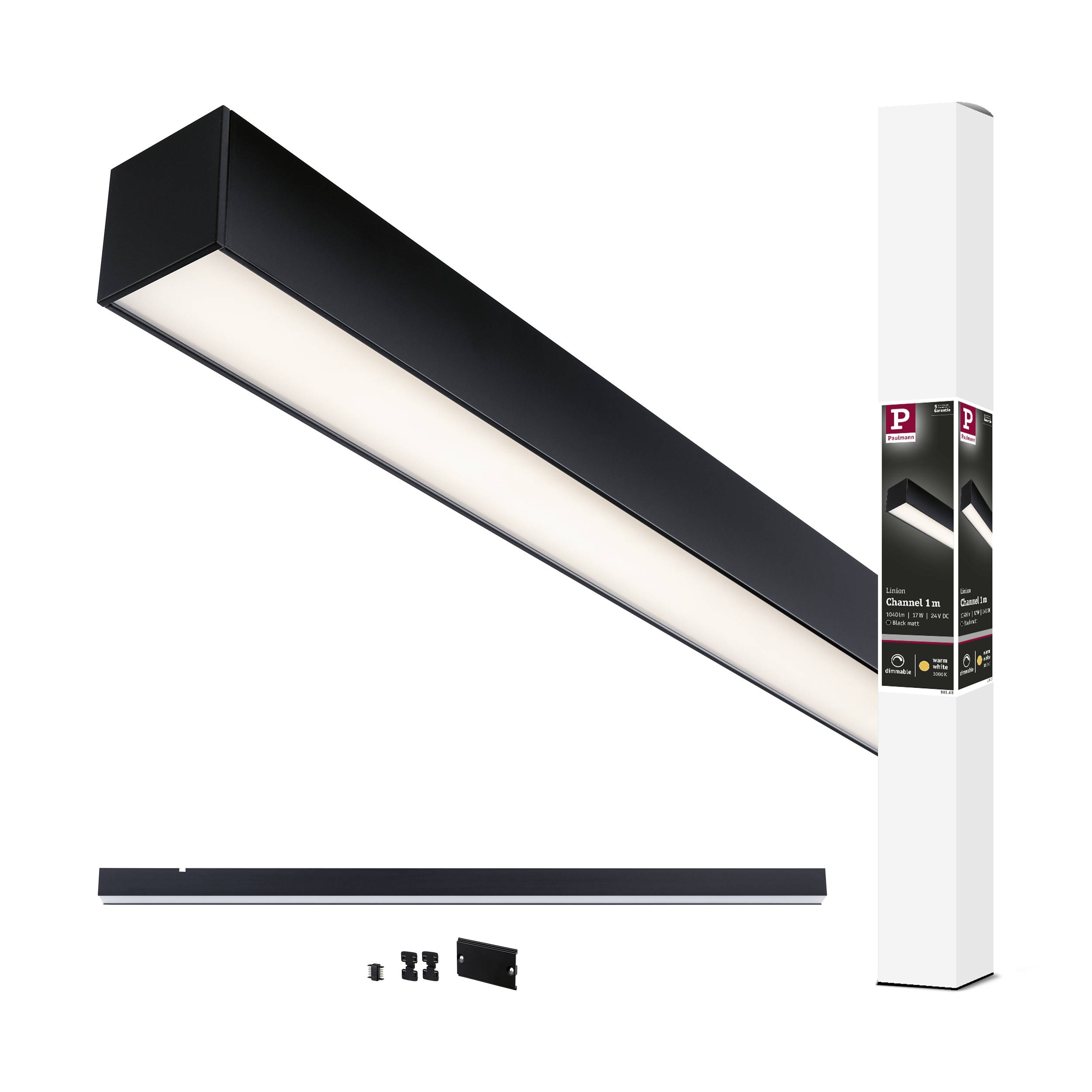Paulmann 98168 Linion LED-Deckenleuchte LED 17 W Schwarz