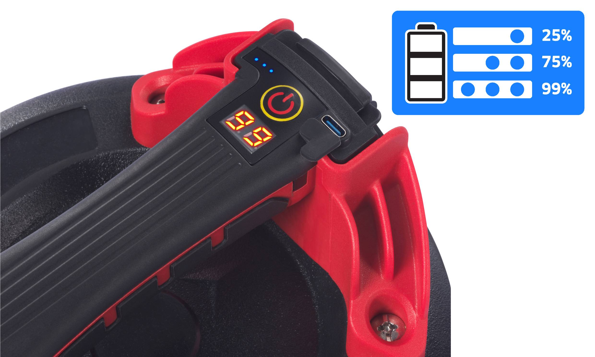 Ein Ladegerät mit digitaler Anzeige zeigt 99% Ladezustand. Daneben ein Symbol mit Batterie-Icon und Prozentskalen für 25%, 75%, 99%.