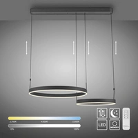 Paul Neuhaus ESKO 2360-18 LED-Pendelleuchte LED LED fest eingebaut 41W Schwarz Paul Neuhaus ESKO 2360-18 LED-Pendelleuchte LED LED fest eingebaut 41W Schwarz