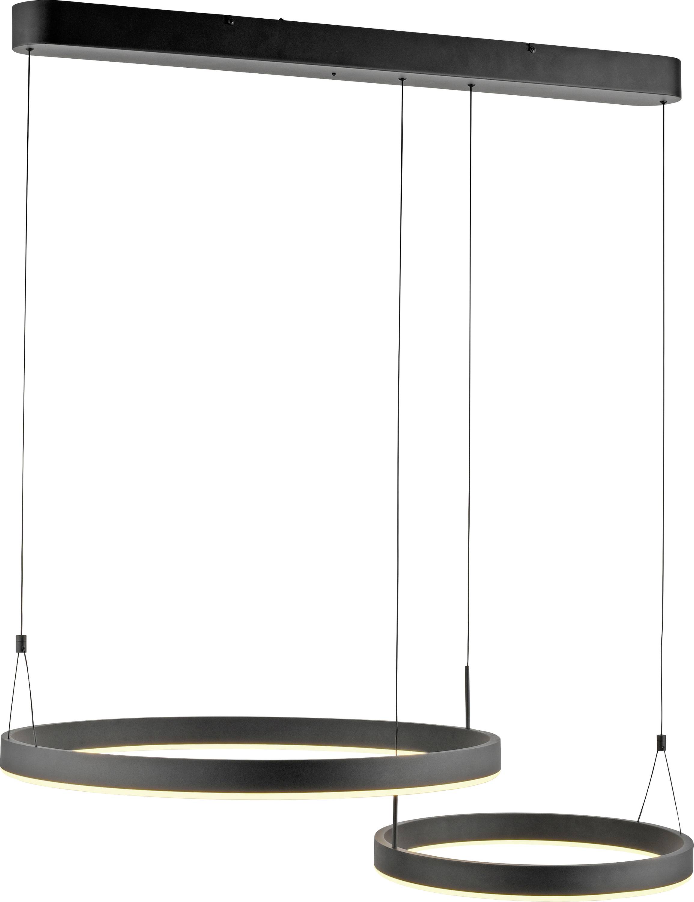 Paul Neuhaus ESKO 2360-18 LED-Pendelleuchte LED LED fest eingebaut 41W Schwarz