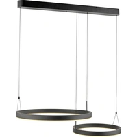 Paul Neuhaus ESKO 2360-18 LED-Pendelleuchte LED LED fest eingebaut 41W Schwarz Paul Neuhaus ESKO 2360-18 LED-Pendelleuchte LED LED fest eingebaut 41W Schwarz