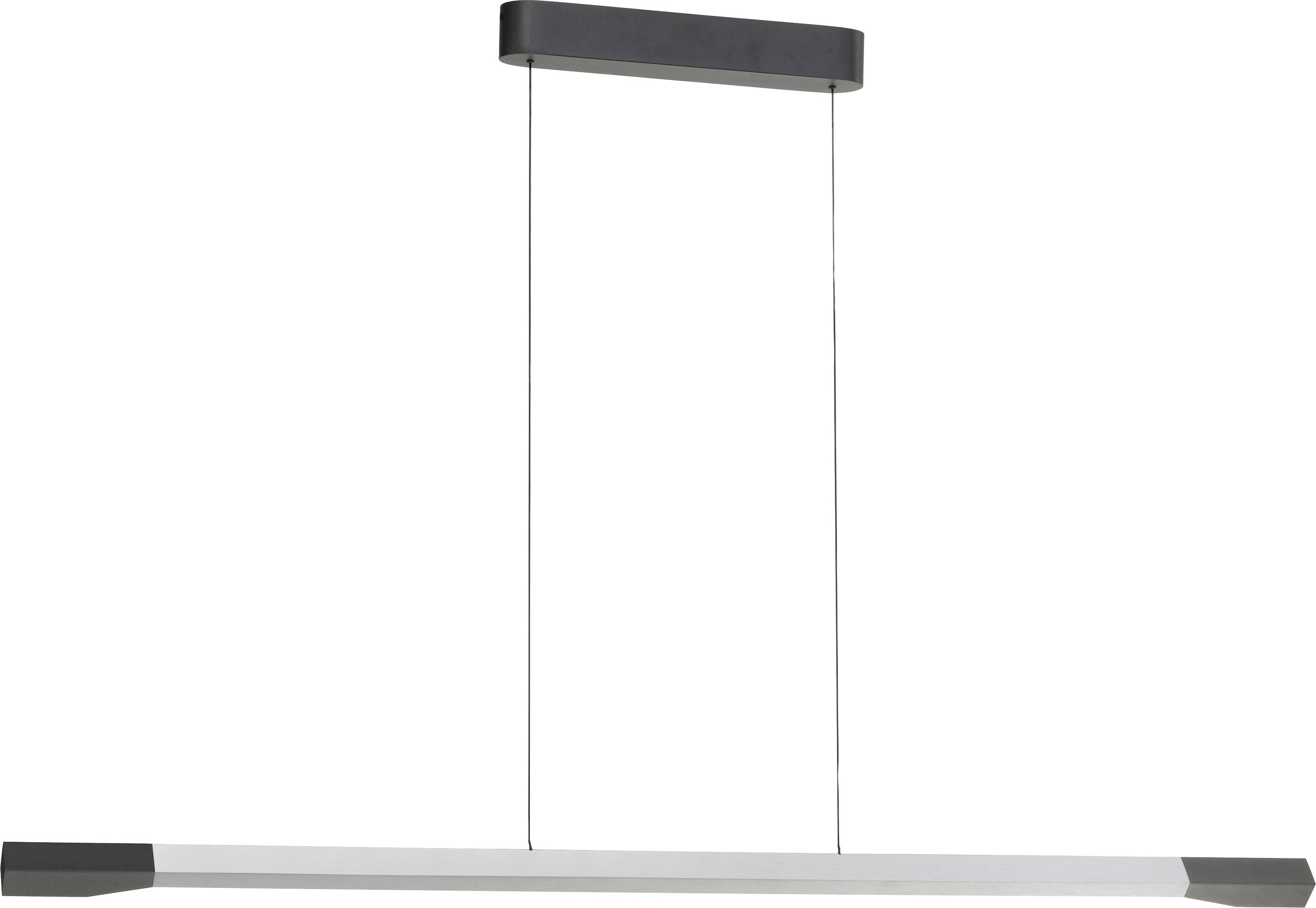 Paul Neuhaus HOOP 2732-33 LED-Pendelleuchte LED LED fest eingebaut 24W Aluminium (eloxiert), Anthrazit