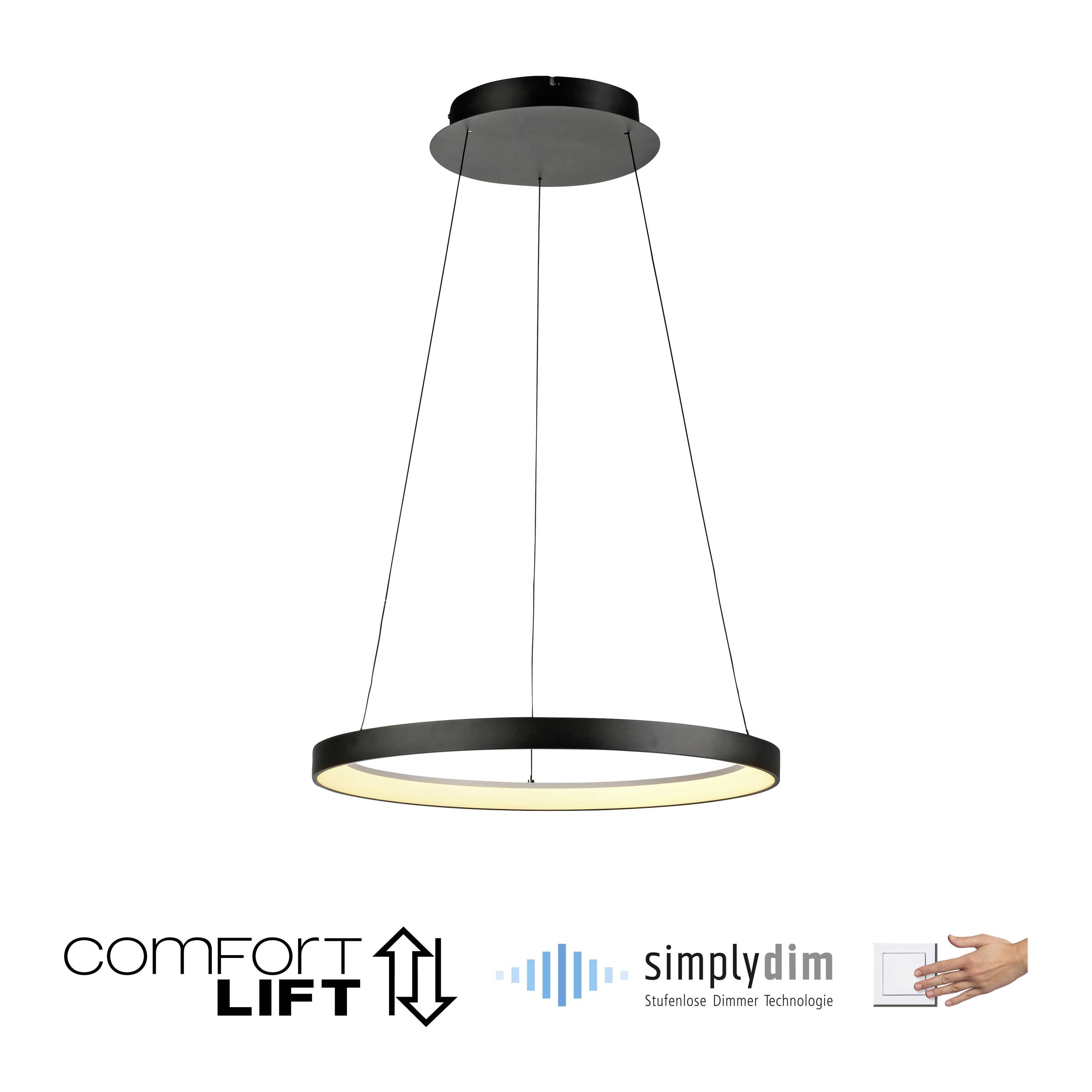 Paul Neuhaus HOOP 2851-18 LED-Pendelleuchte LED LED fest eingebaut 37W Schwarz