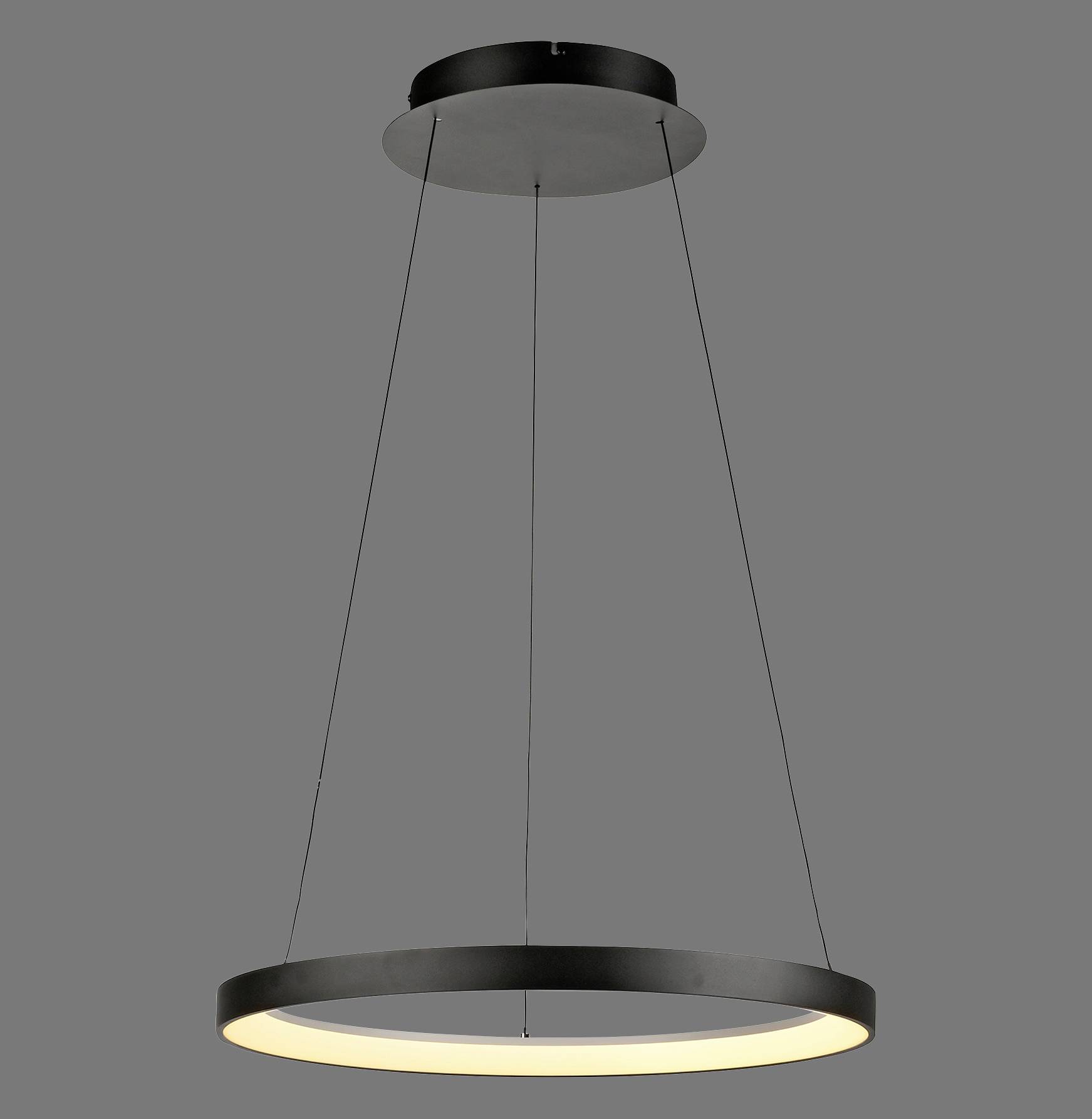 Paul Neuhaus HOOP 2851-18 LED-Pendelleuchte LED LED fest eingebaut 37W Schwarz