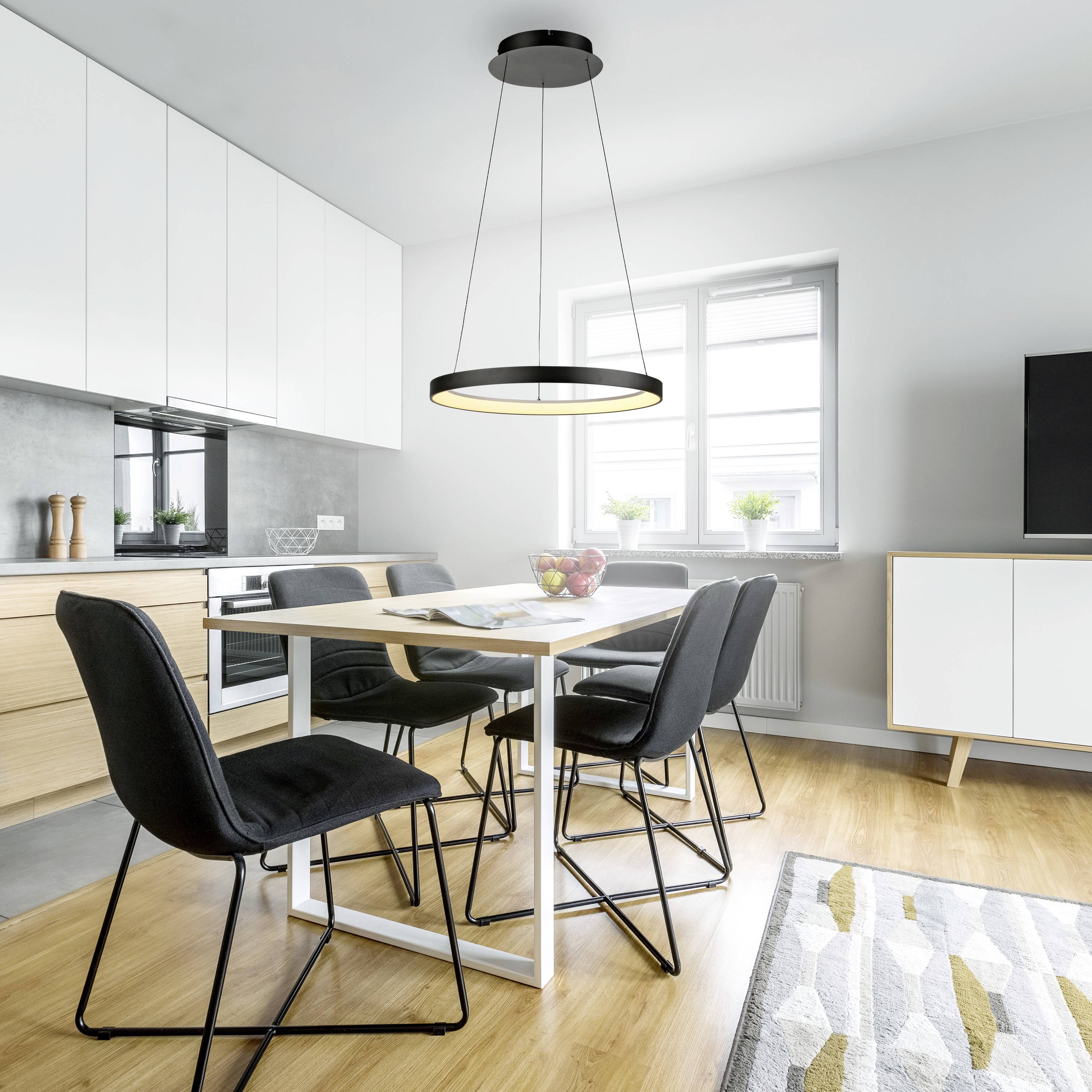 Paul Neuhaus HOOP 2851-18 LED-Pendelleuchte LED LED fest eingebaut 37W Schwarz