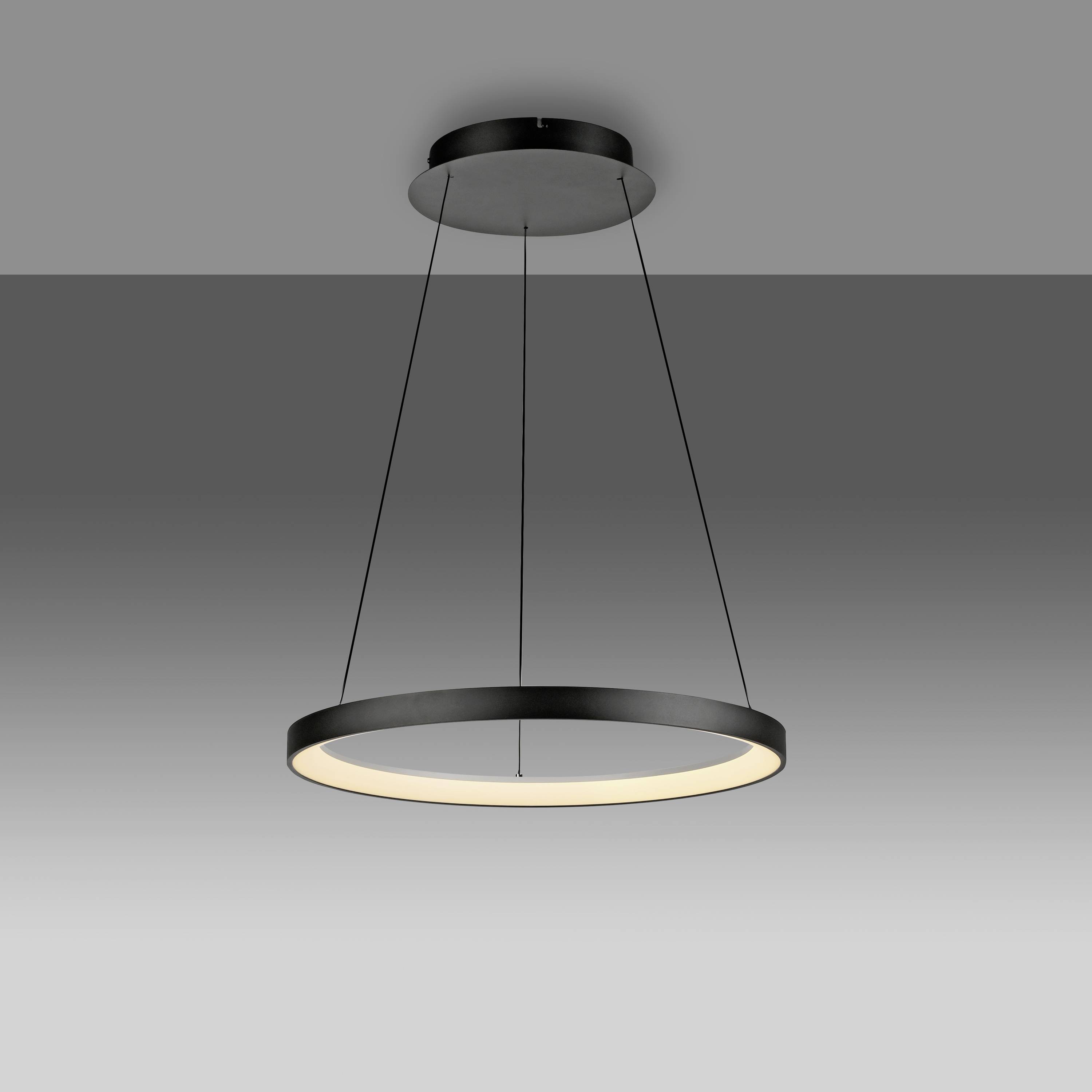 Paul Neuhaus HOOP 2851-18 LED-Pendelleuchte LED LED fest eingebaut 37W Schwarz