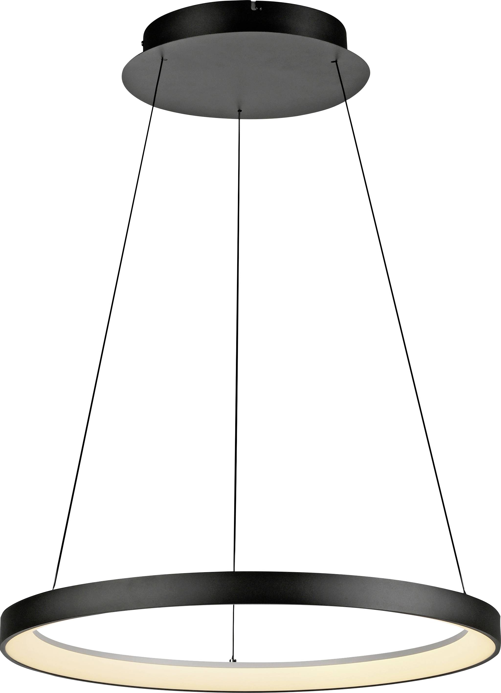 Paul Neuhaus HOOP 2851-18 LED-Pendelleuchte LED LED fest eingebaut 37W Schwarz