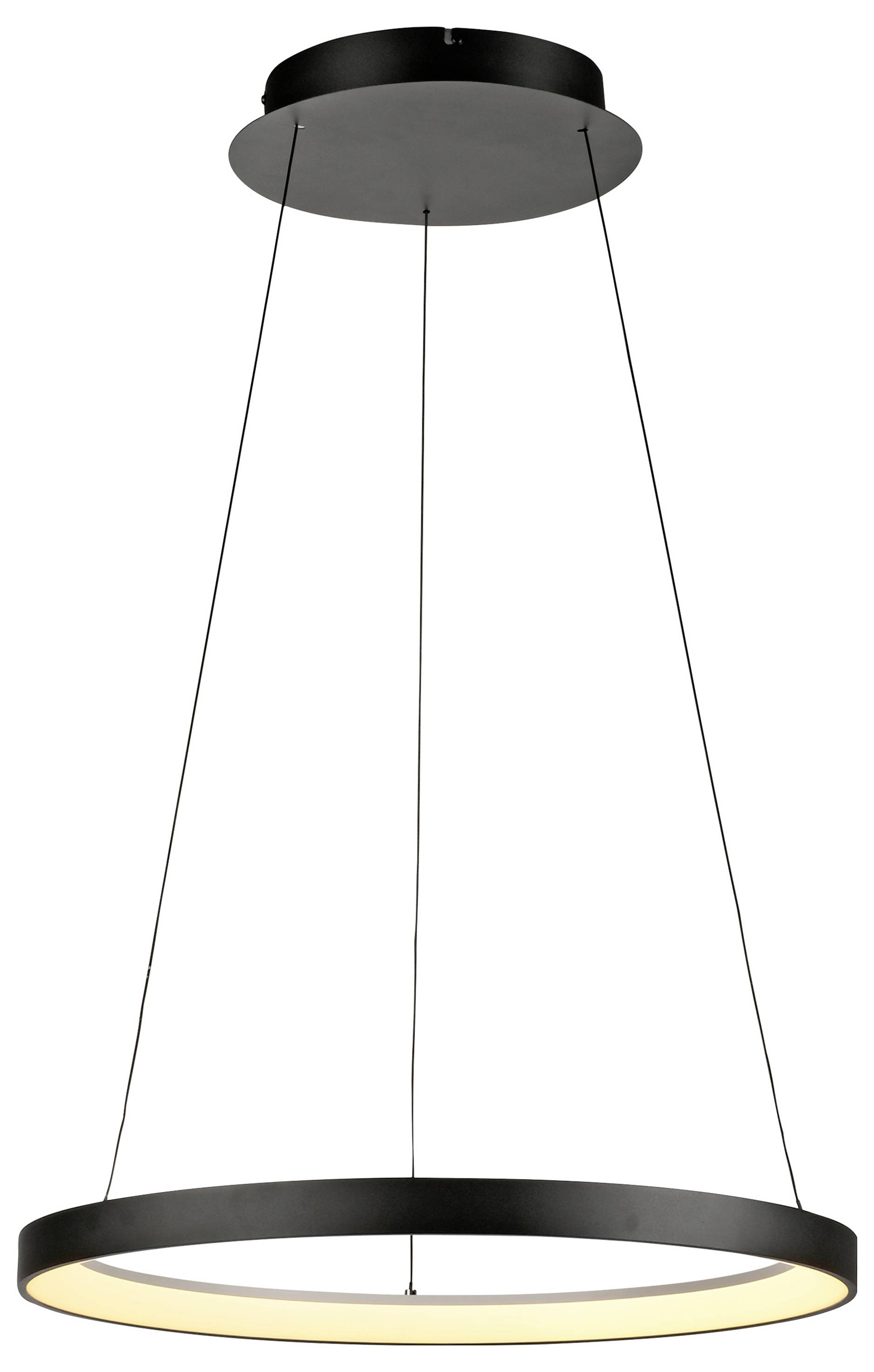 Paul Neuhaus HOOP 2851-18 LED-Pendelleuchte LED LED fest eingebaut 37W Schwarz