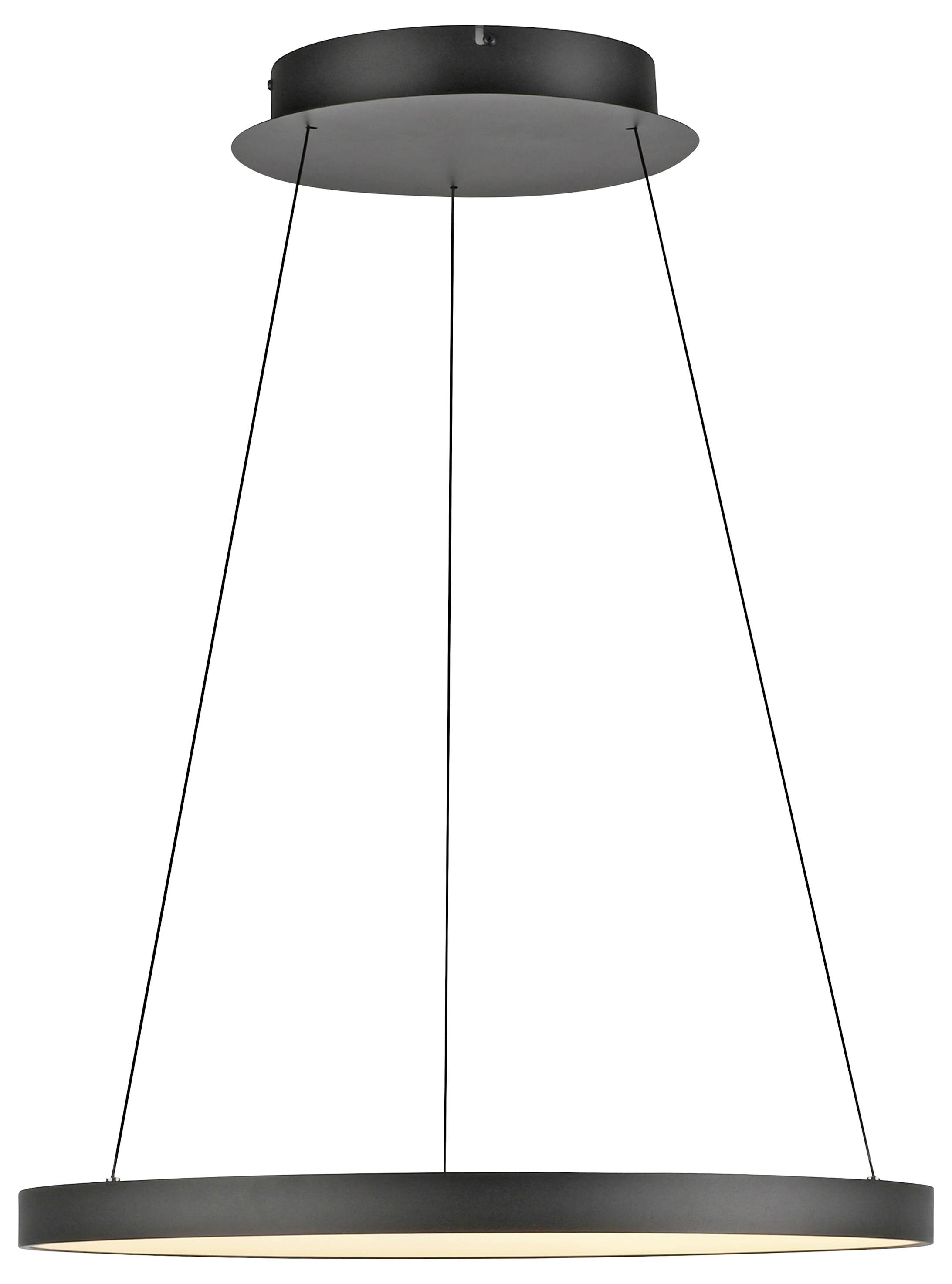 Paul Neuhaus HOOP 2851-18 LED-Pendelleuchte LED LED fest eingebaut 37W Schwarz