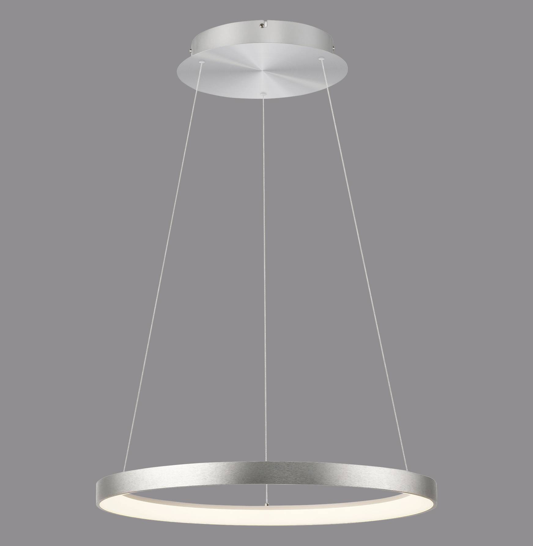 Paul Neuhaus HOOP 2851-95 LED-Pendelleuchte LED LED fest eingebaut 37W Aluminium